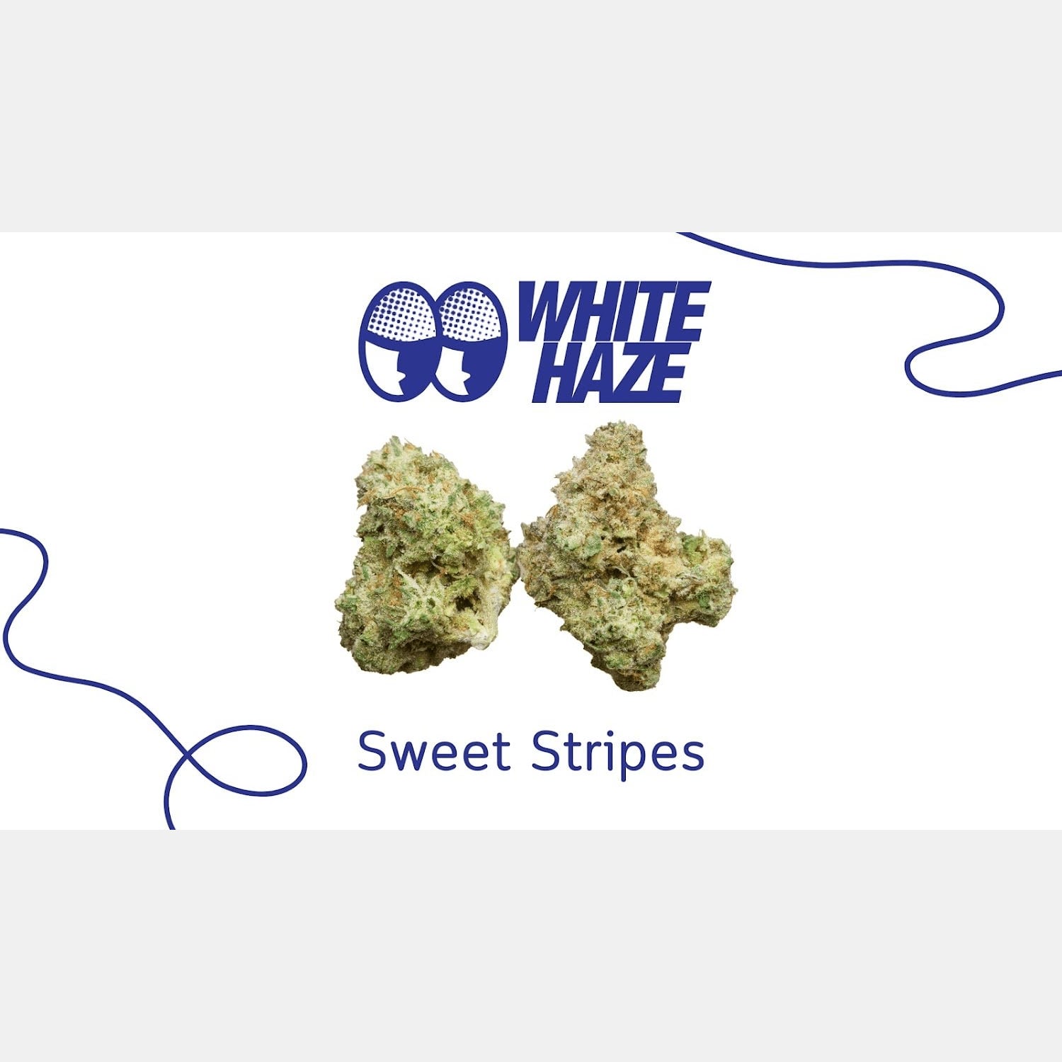 Cannabis Dispensary White Haze logo