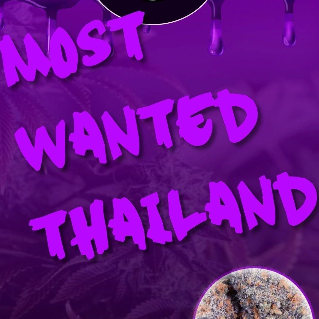 Most Wanted