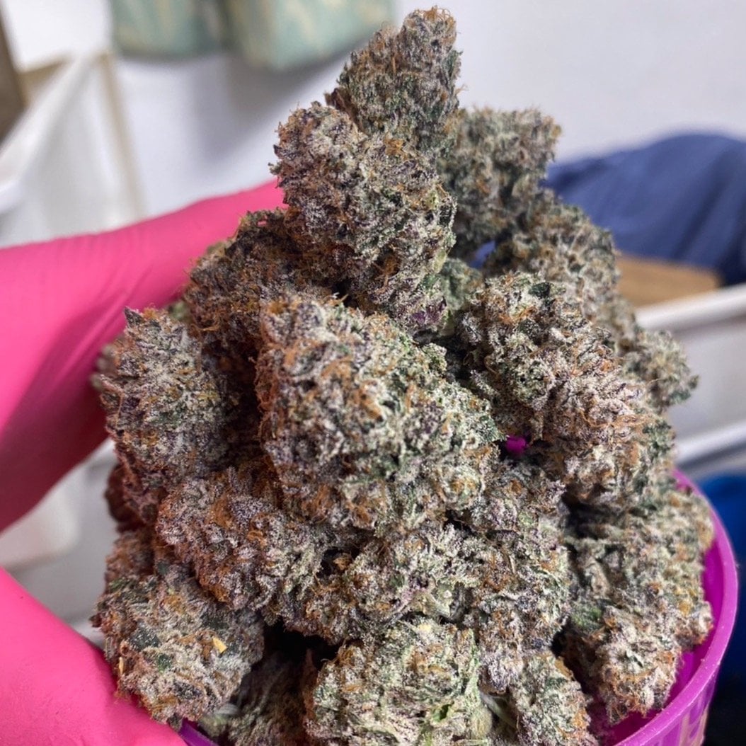 Green Panda