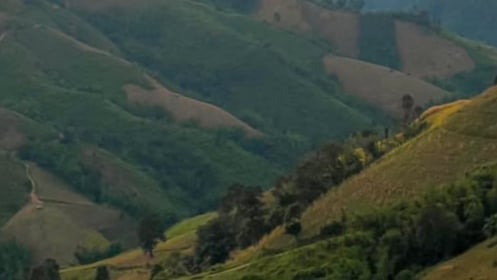 420 Chop In Pai
