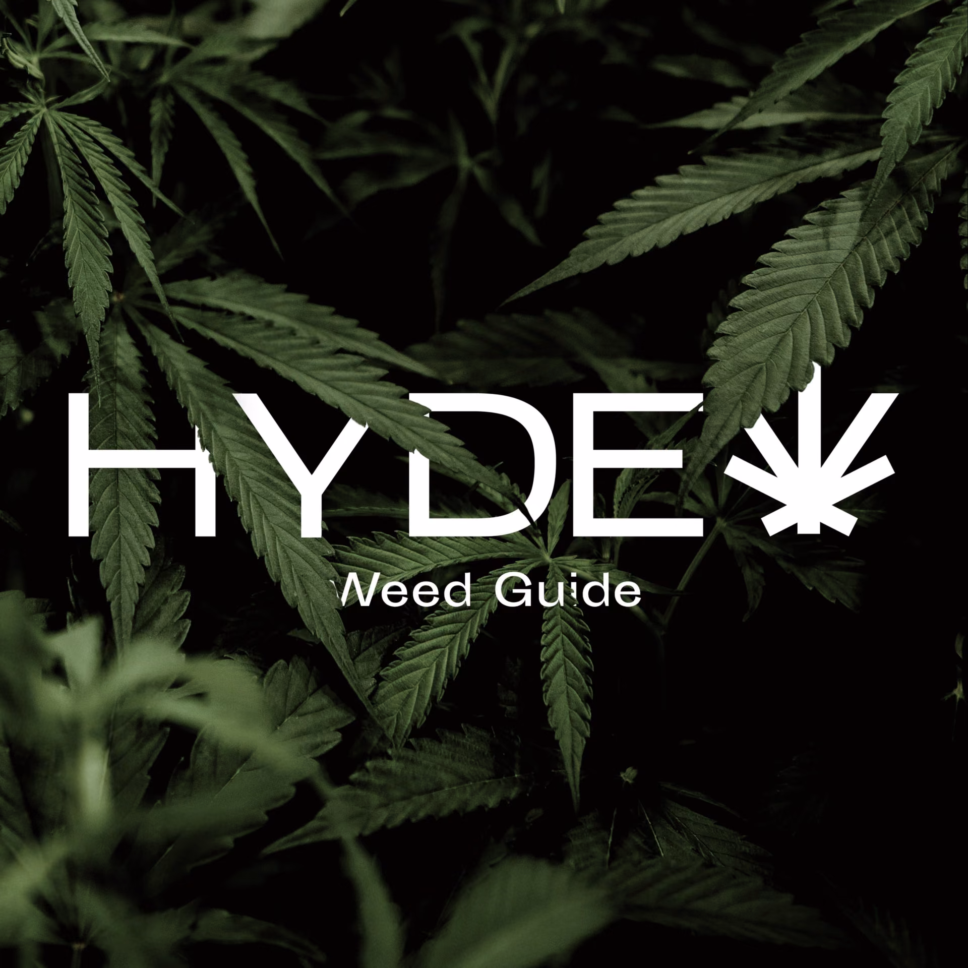 Cannabis Dispensary Hyde logo