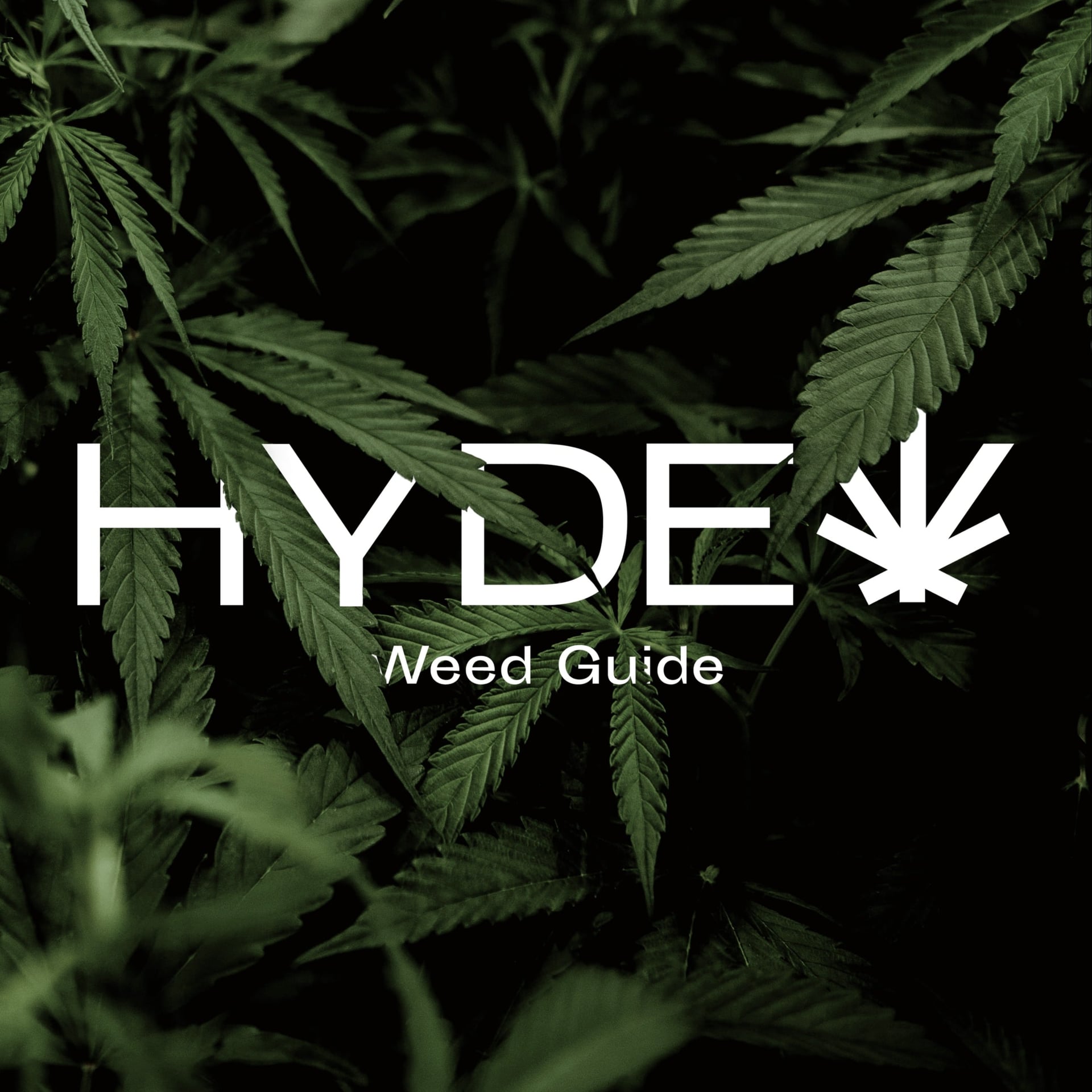 Cannabis Dispensary Hyde logo