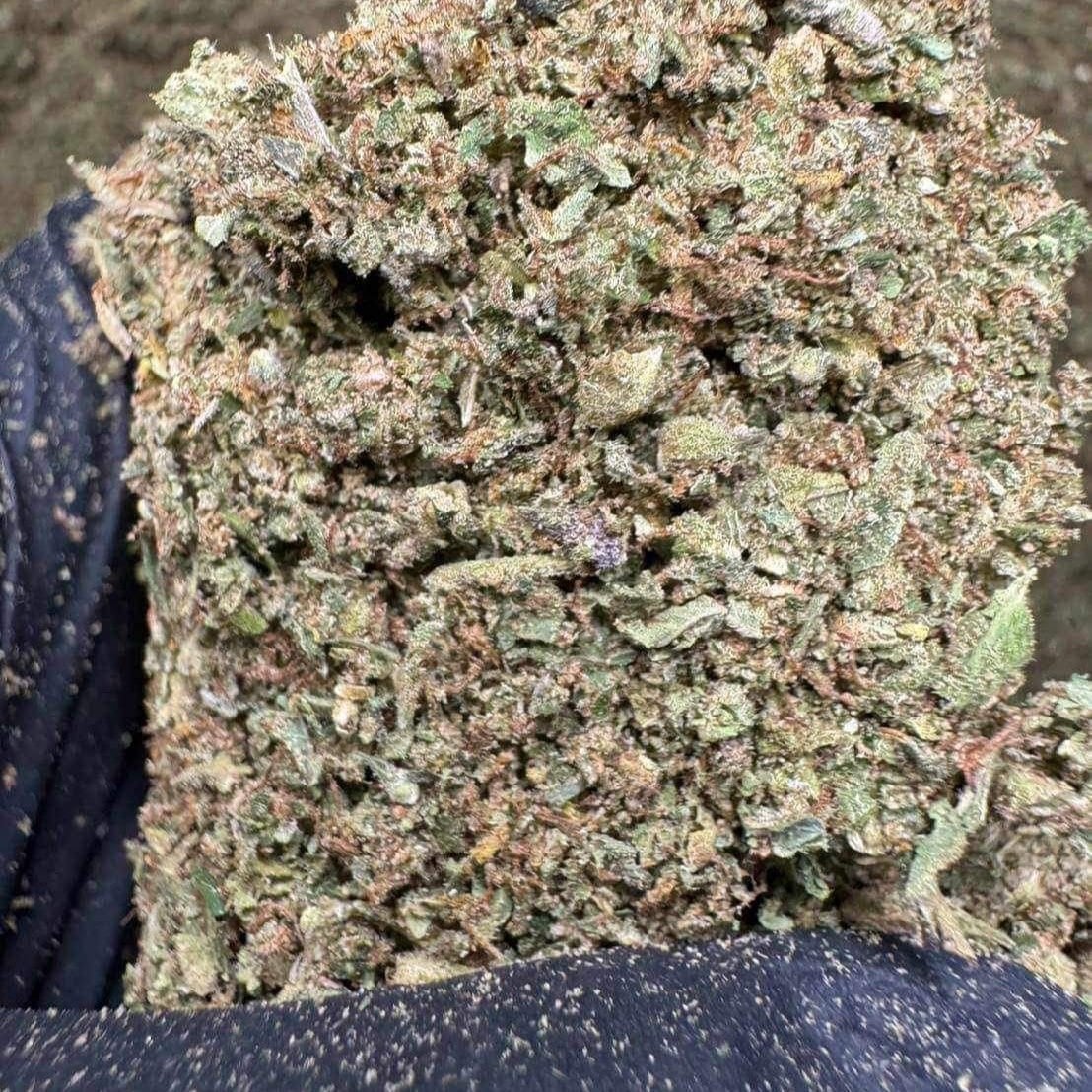 DIO Cannabis