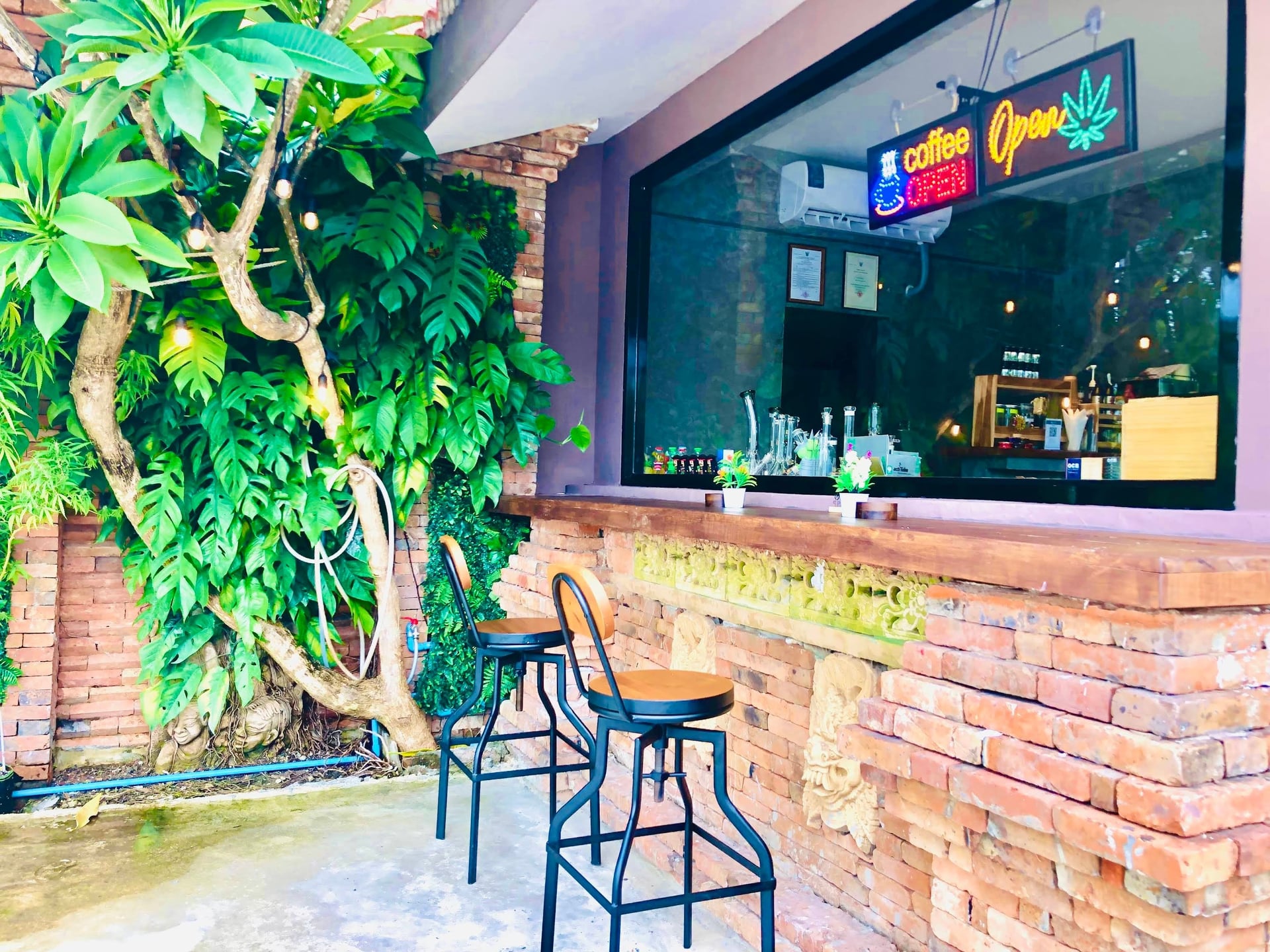 Coffee Shop Cannabis
