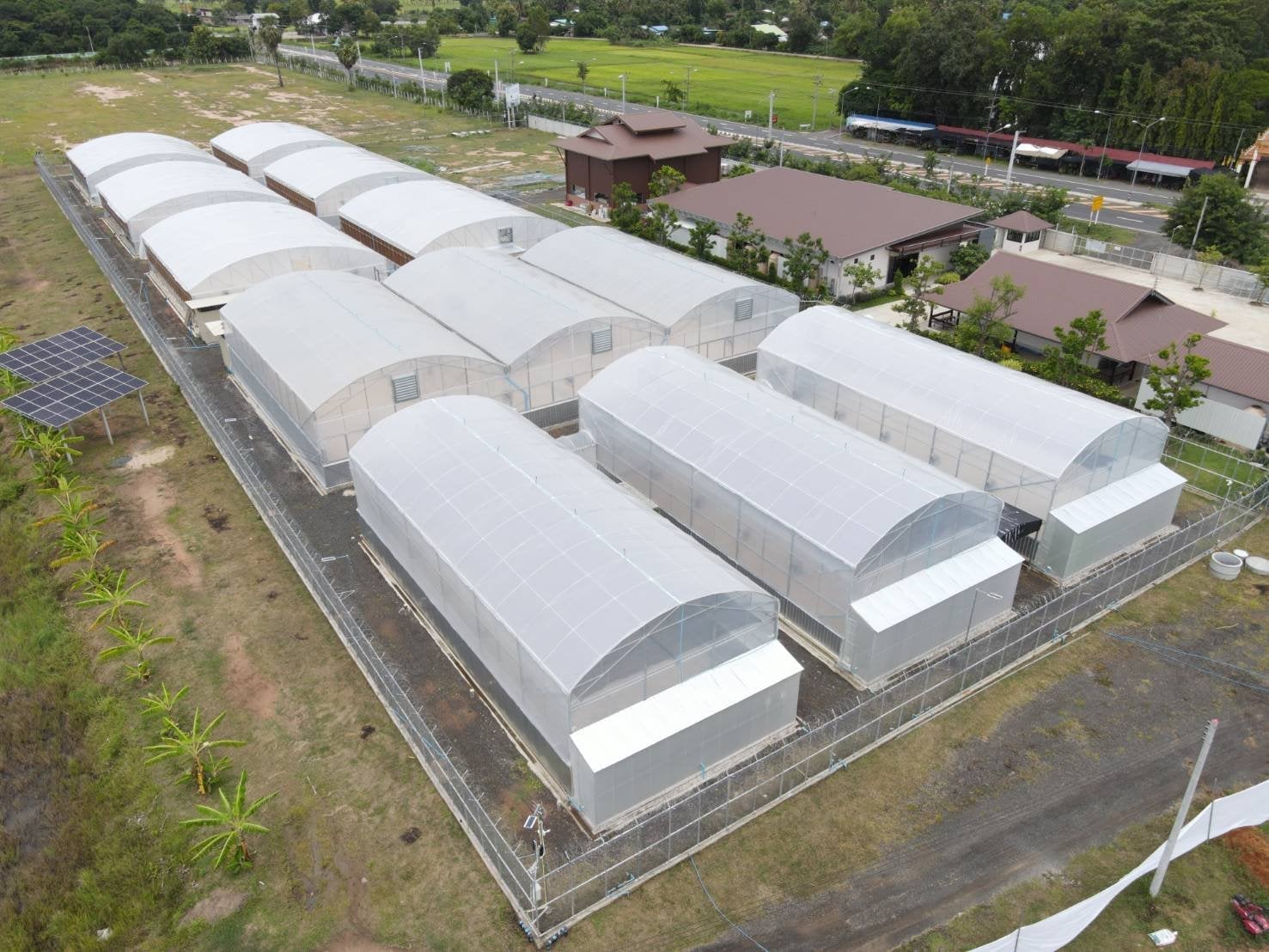Bienestar Cannabis Farm