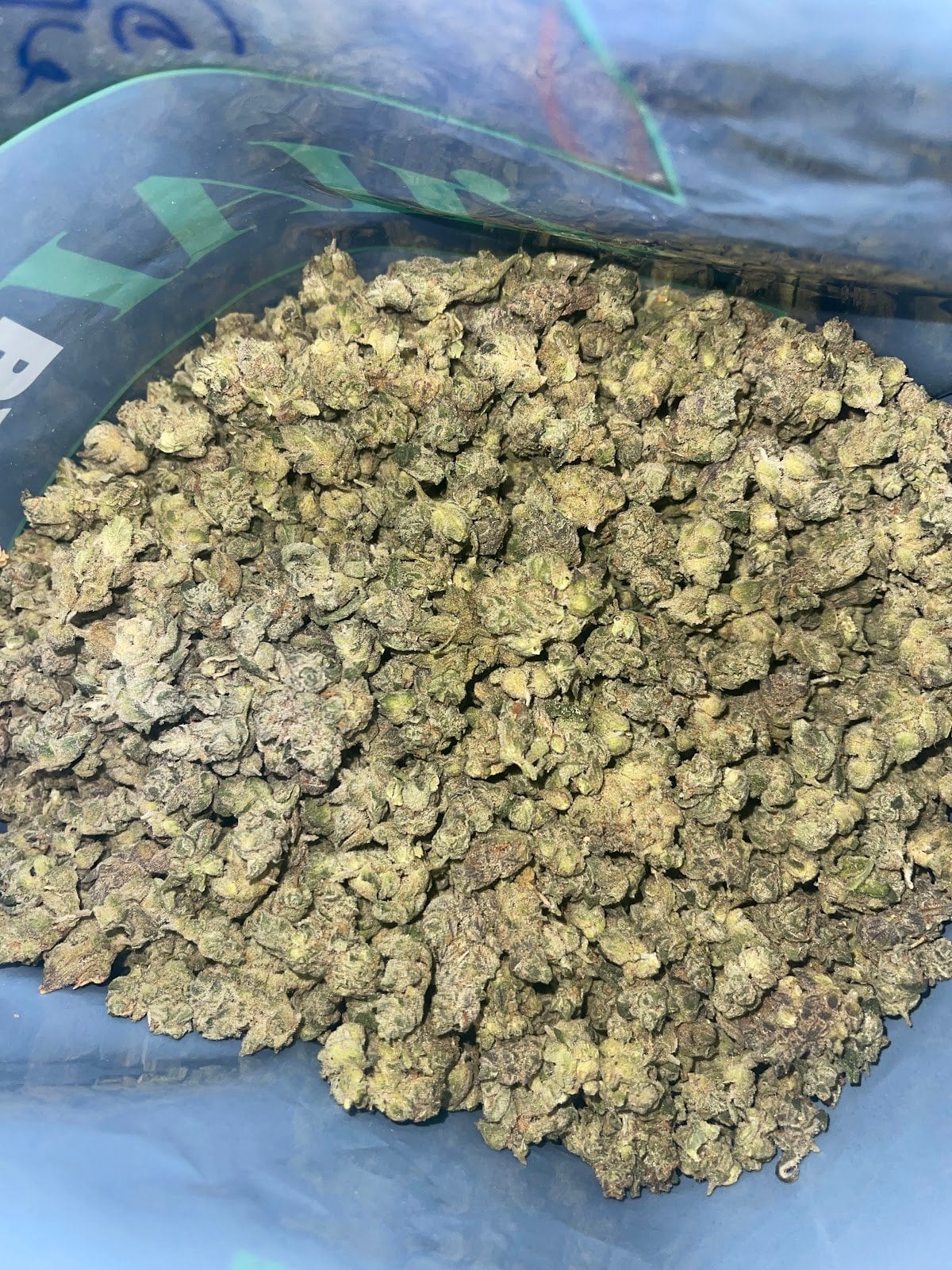 The Sun Weeds