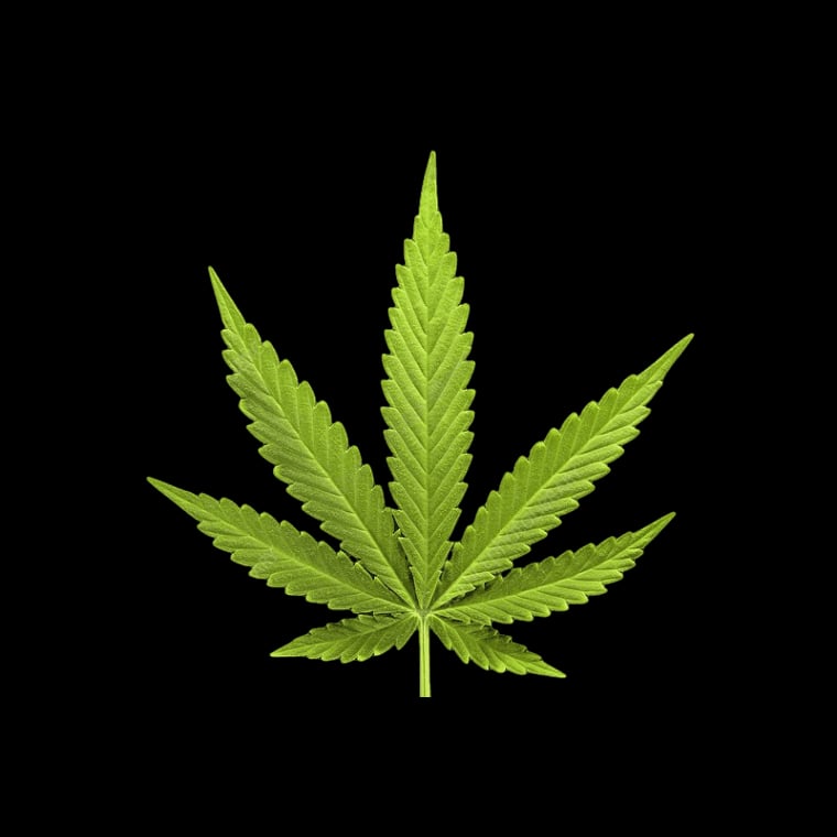 Pattayaの大麻ショップ Puff Pass Pattaya ロゴ