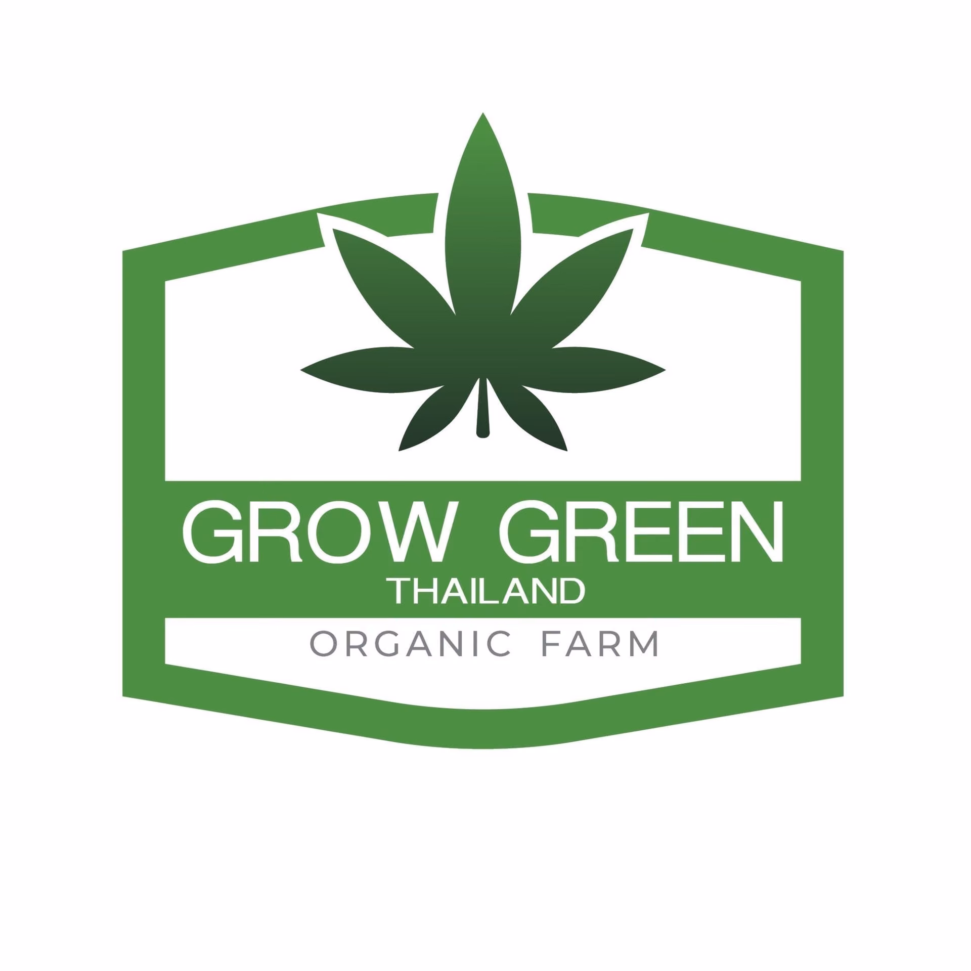Cannabis Dispensary GrowGreenthailand logo