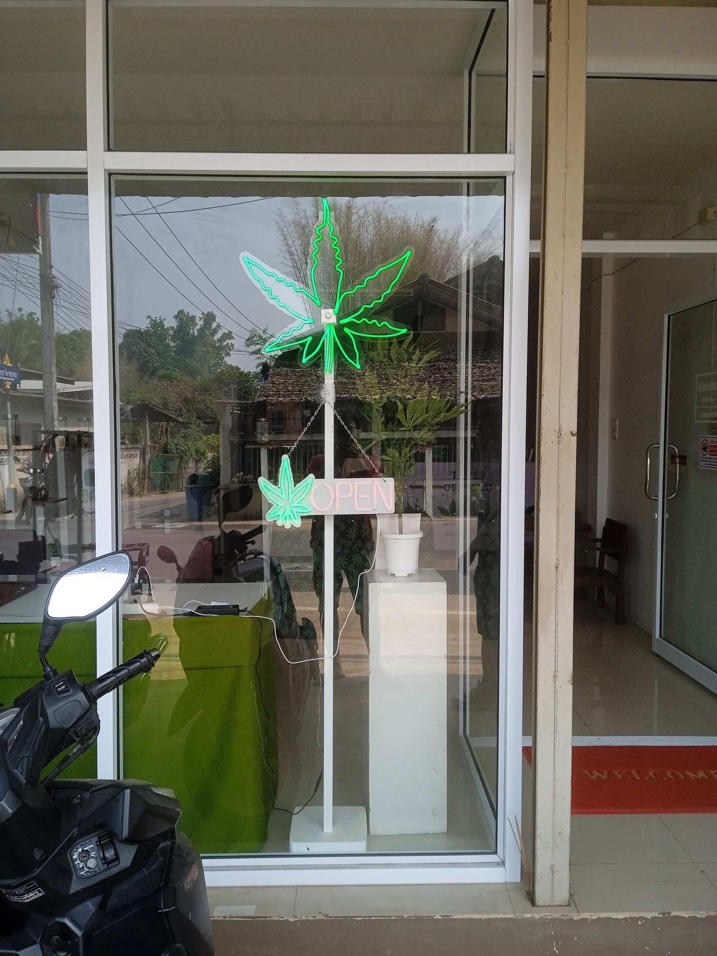 Weed Hi CC