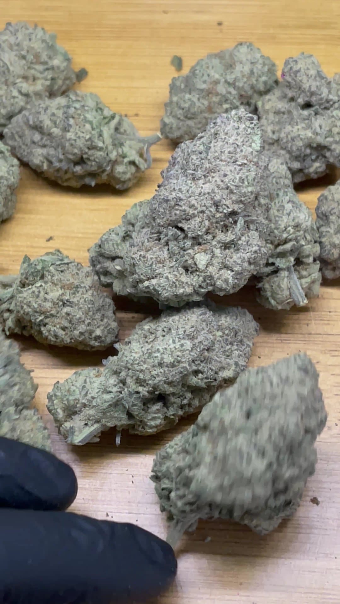 OG Phenotype By Kellerher
