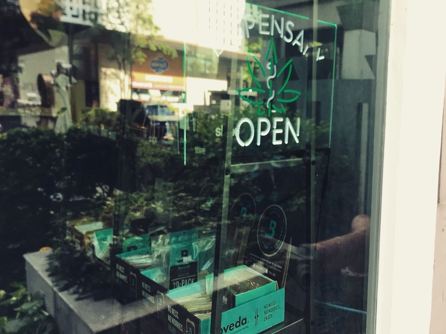 Green Day Office