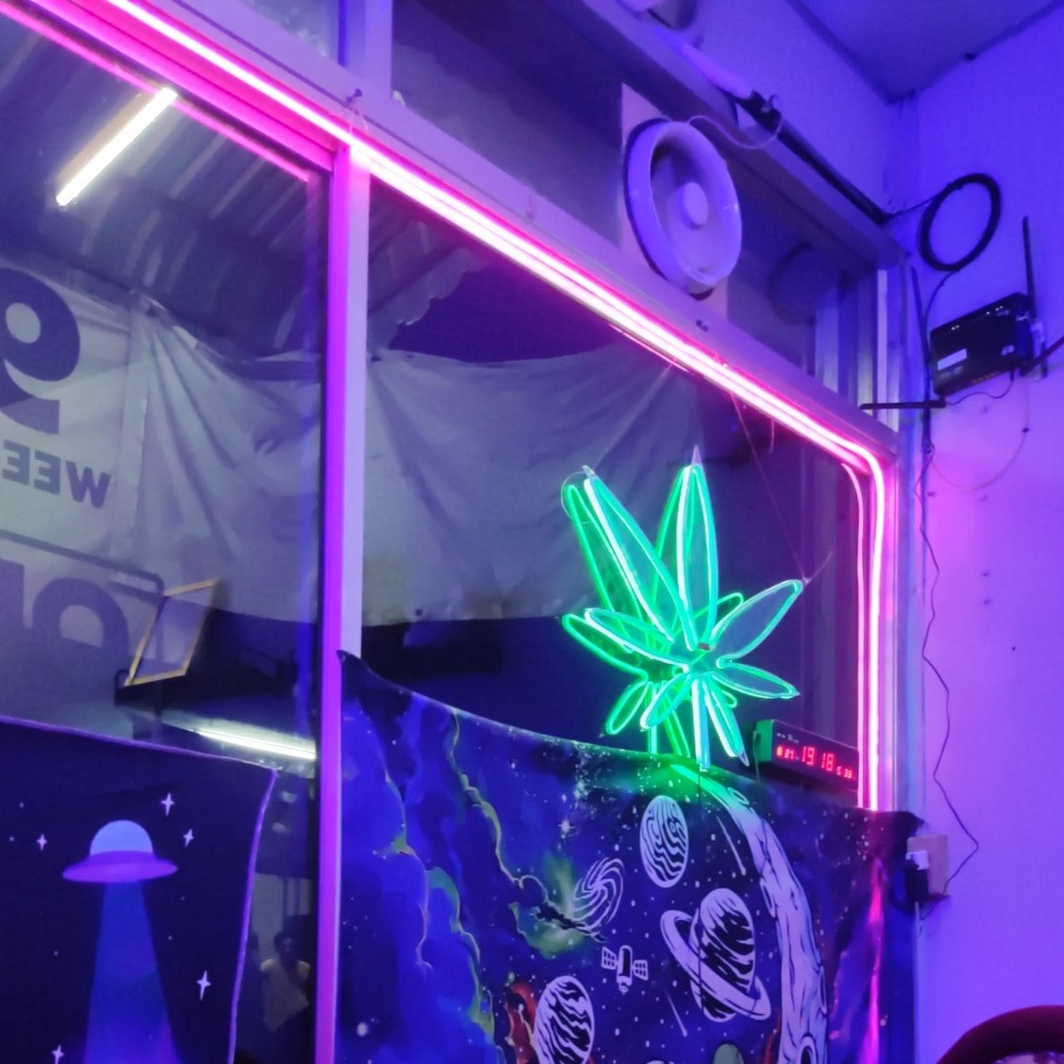 95Weed