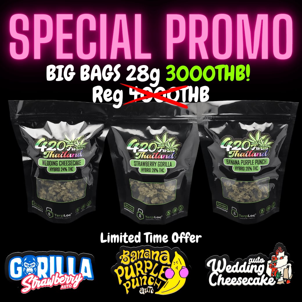 100Thb Express - By 420Farm
