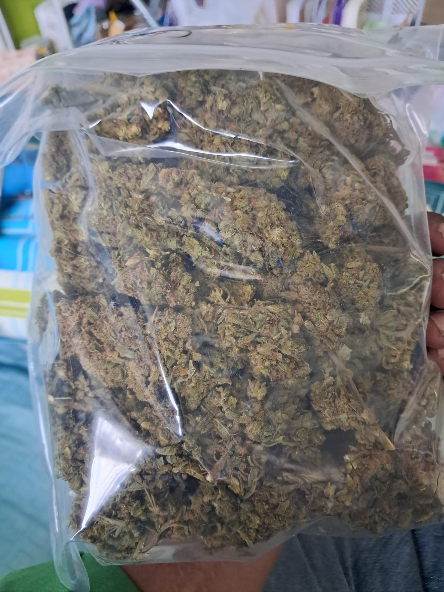 Weedview Cannabis Marketplace
