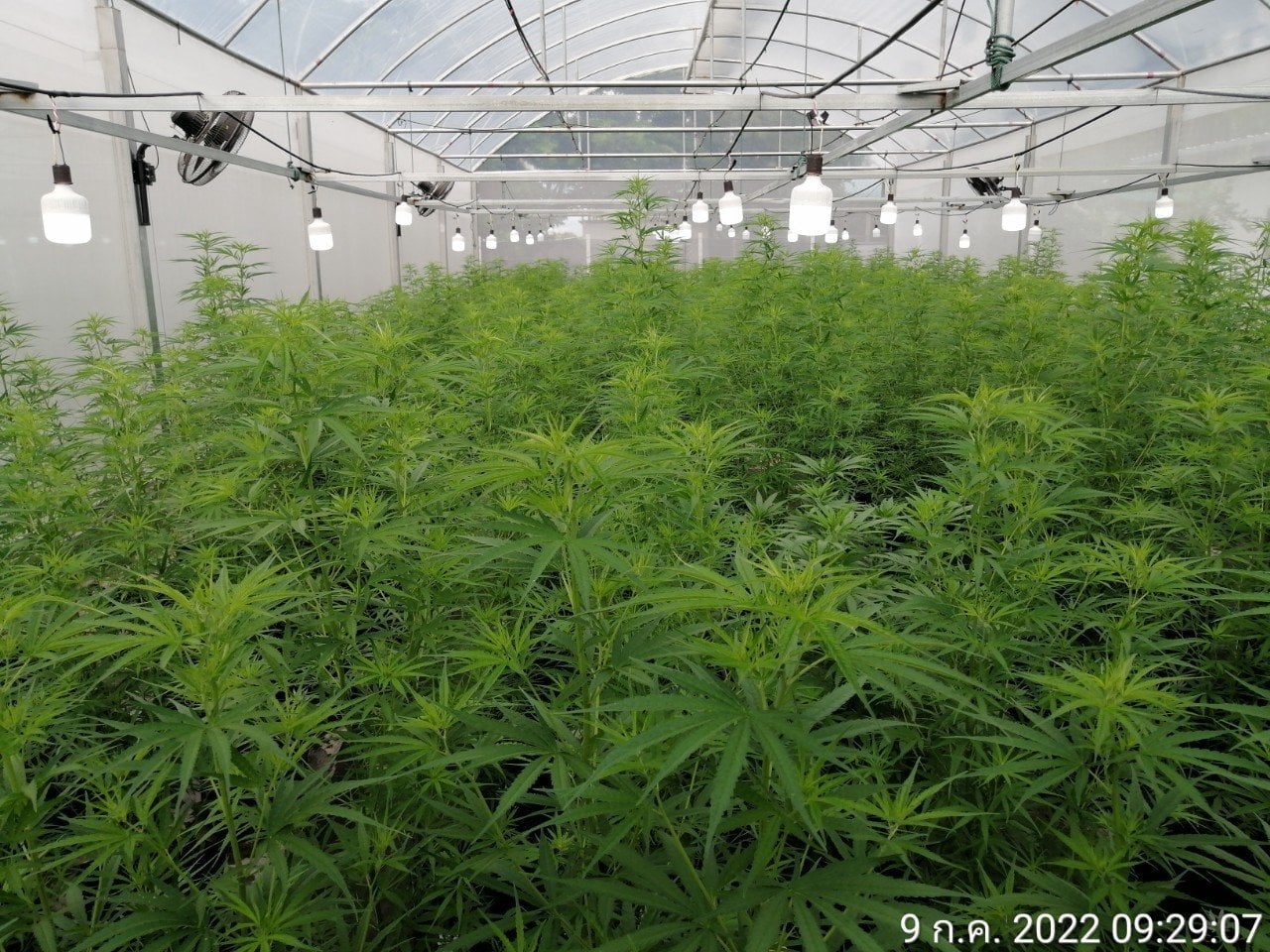 Coz Garden Farm