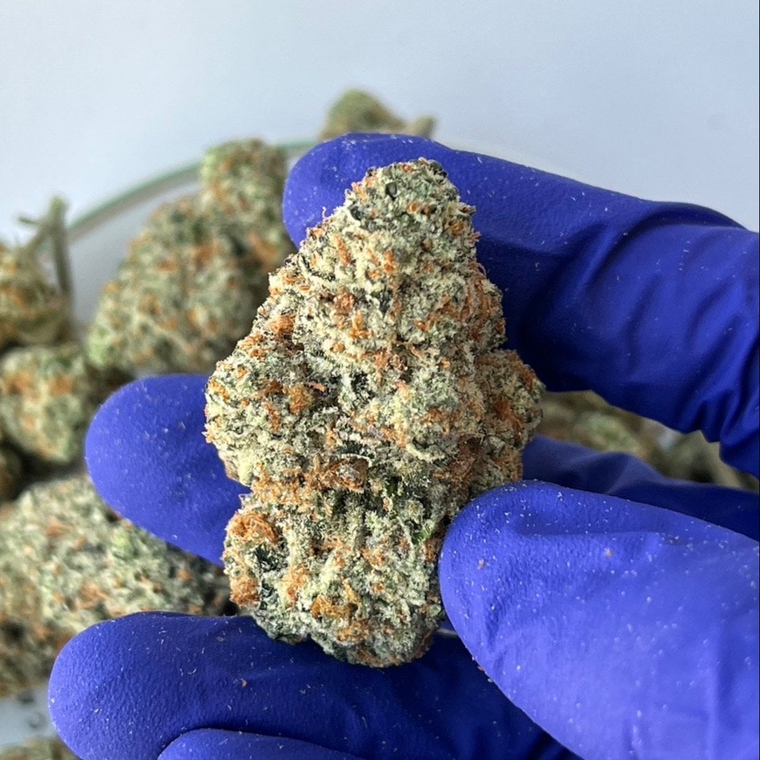 The Joint