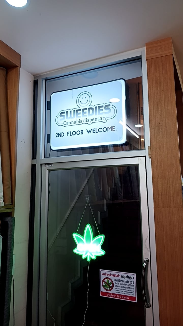 MEDELLÍN - Yes, We Cannabis