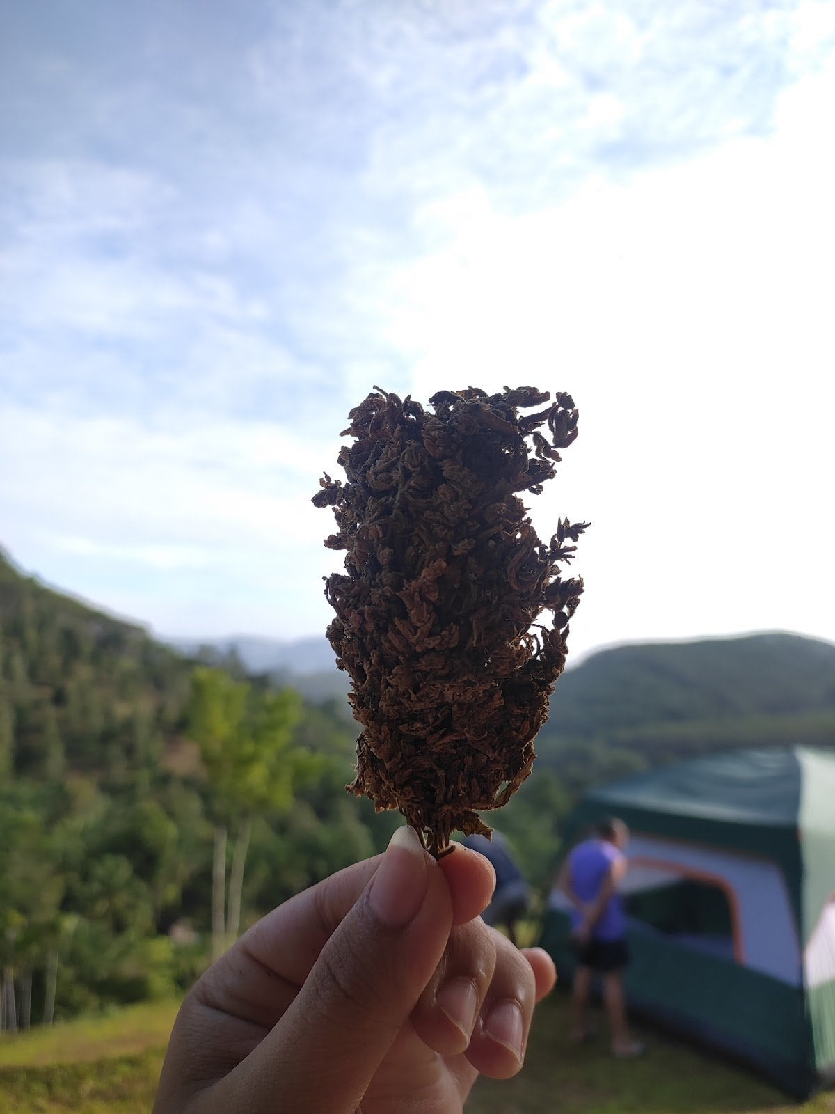 Phan Lam Lang Suan
