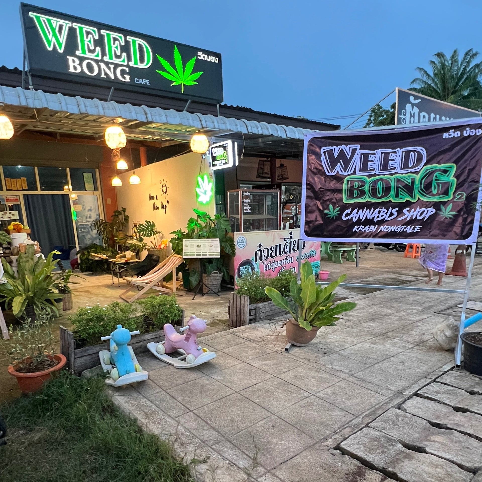 weedbong,Dispensaly,,marijuana,,,marihua,Ott,na