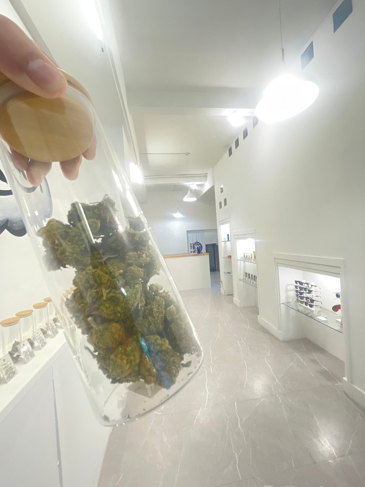 Greenpeace Medical Marijuana Specialty