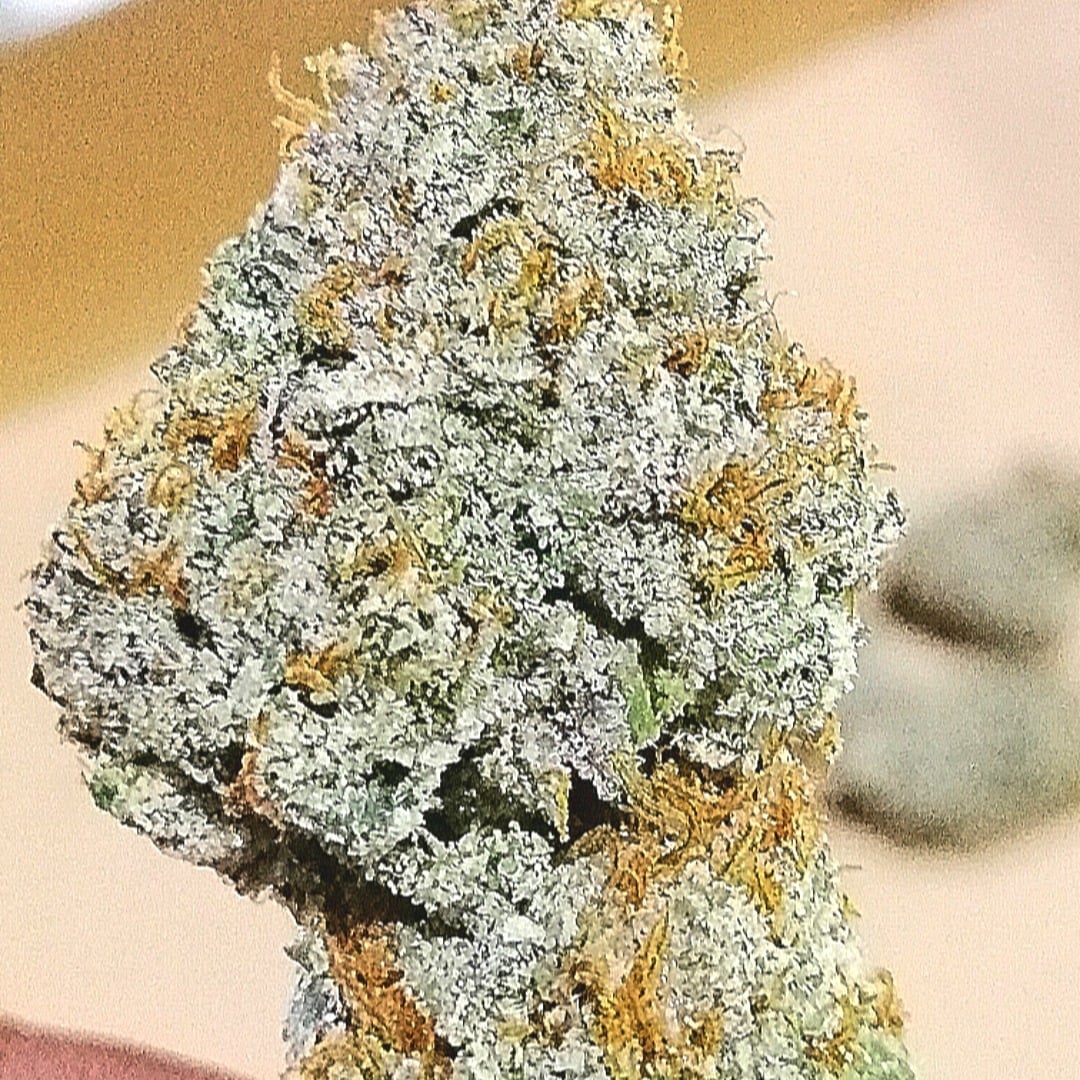 Cannabis420