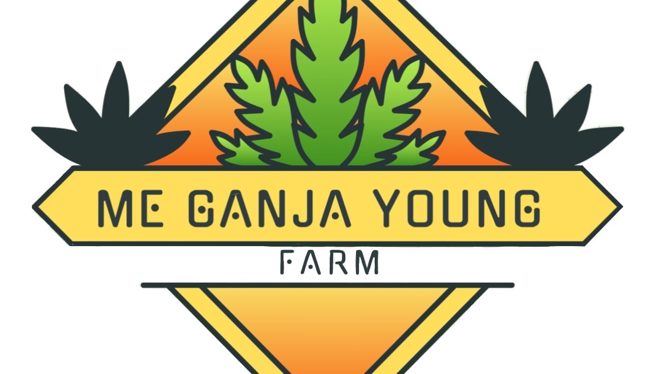 M.g.y Farm