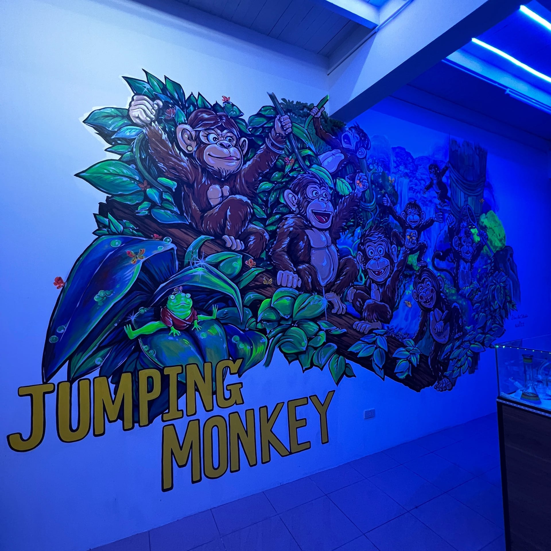 Jumping Monkey