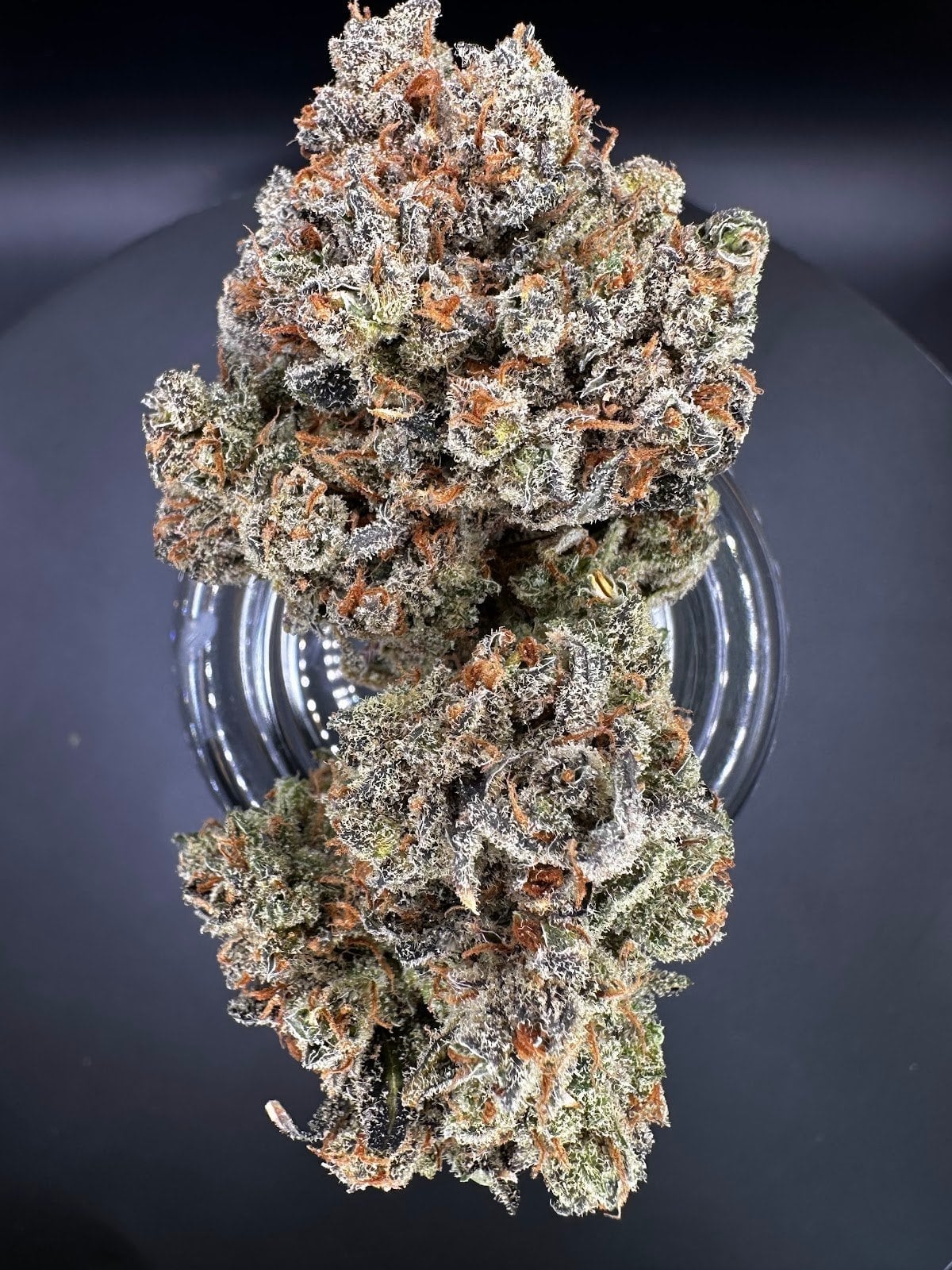 Purple Light & Weed Shop & Jomtien Weed