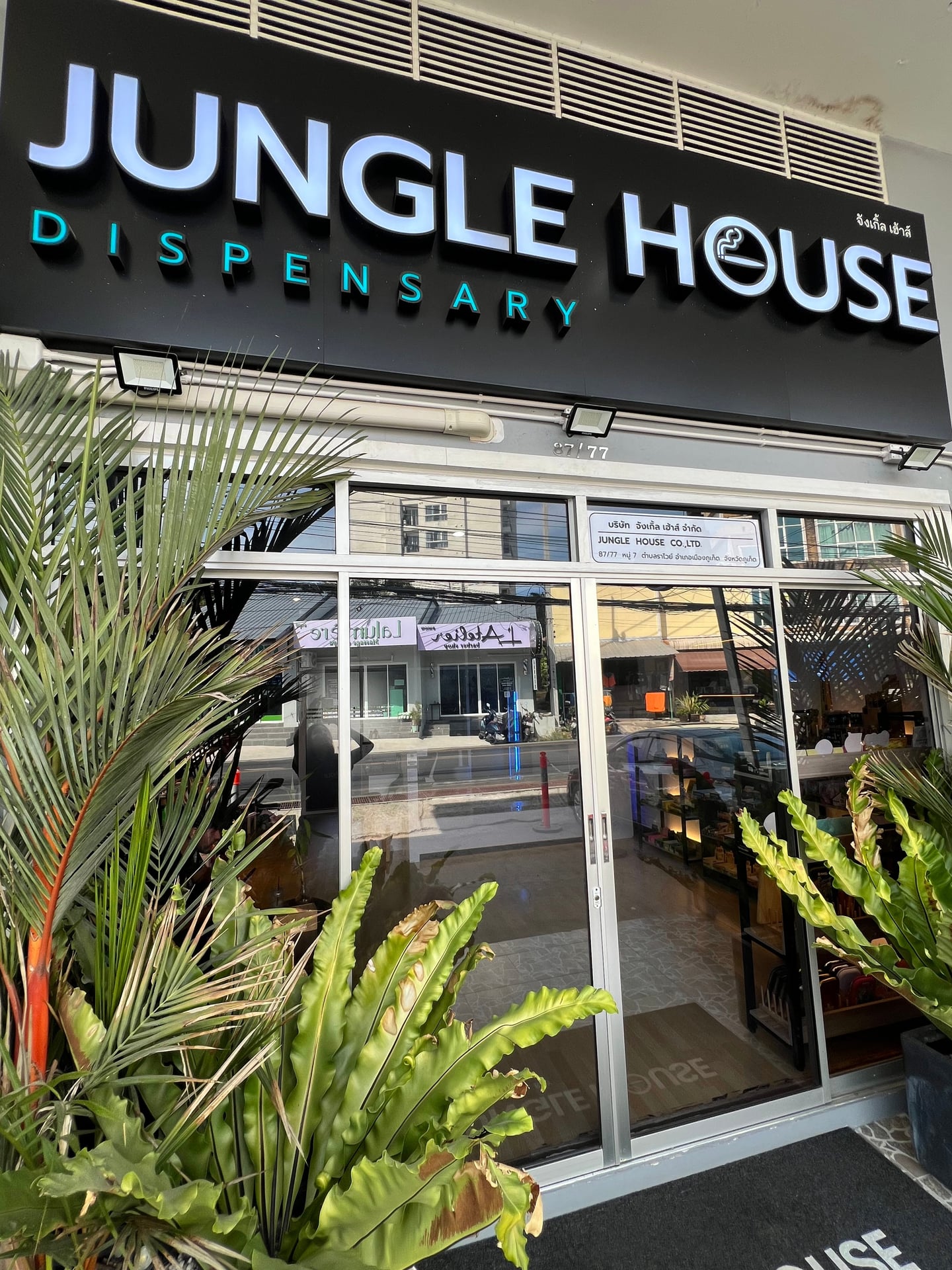 Jungle House