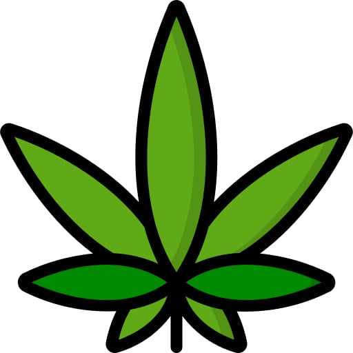 Cannabear