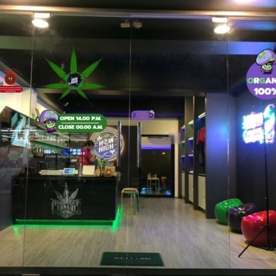 How High Canabis Cafe