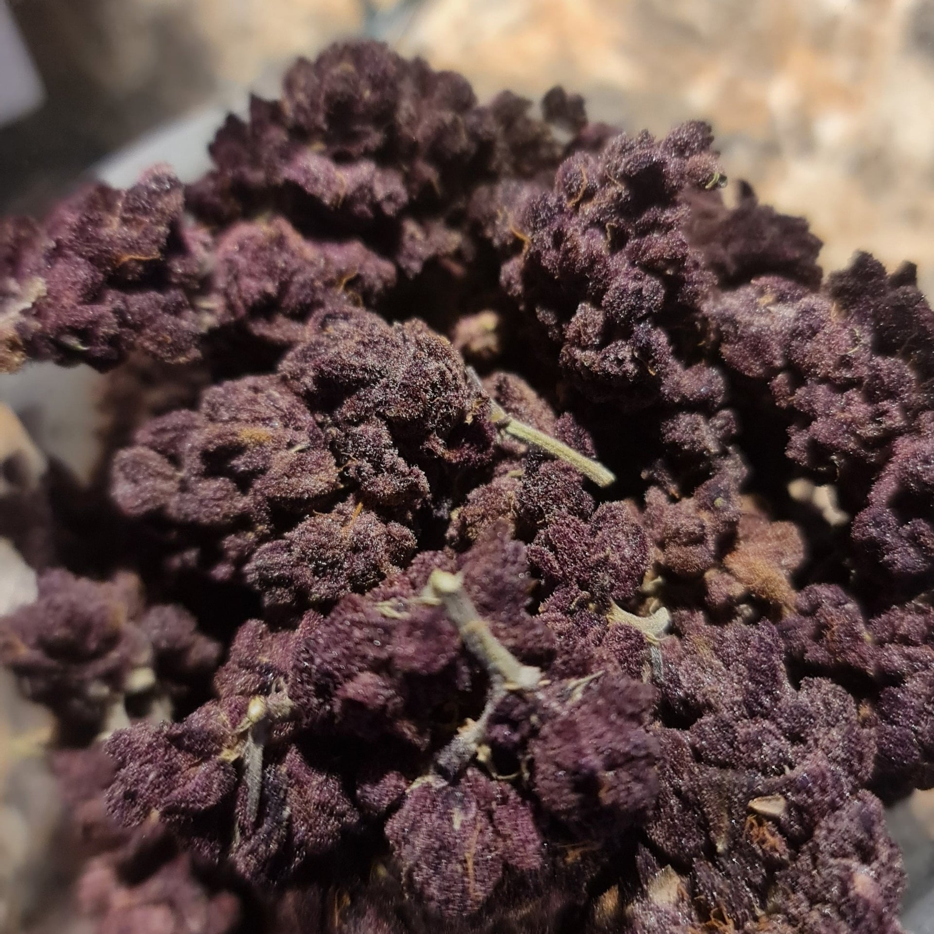 Purple Room