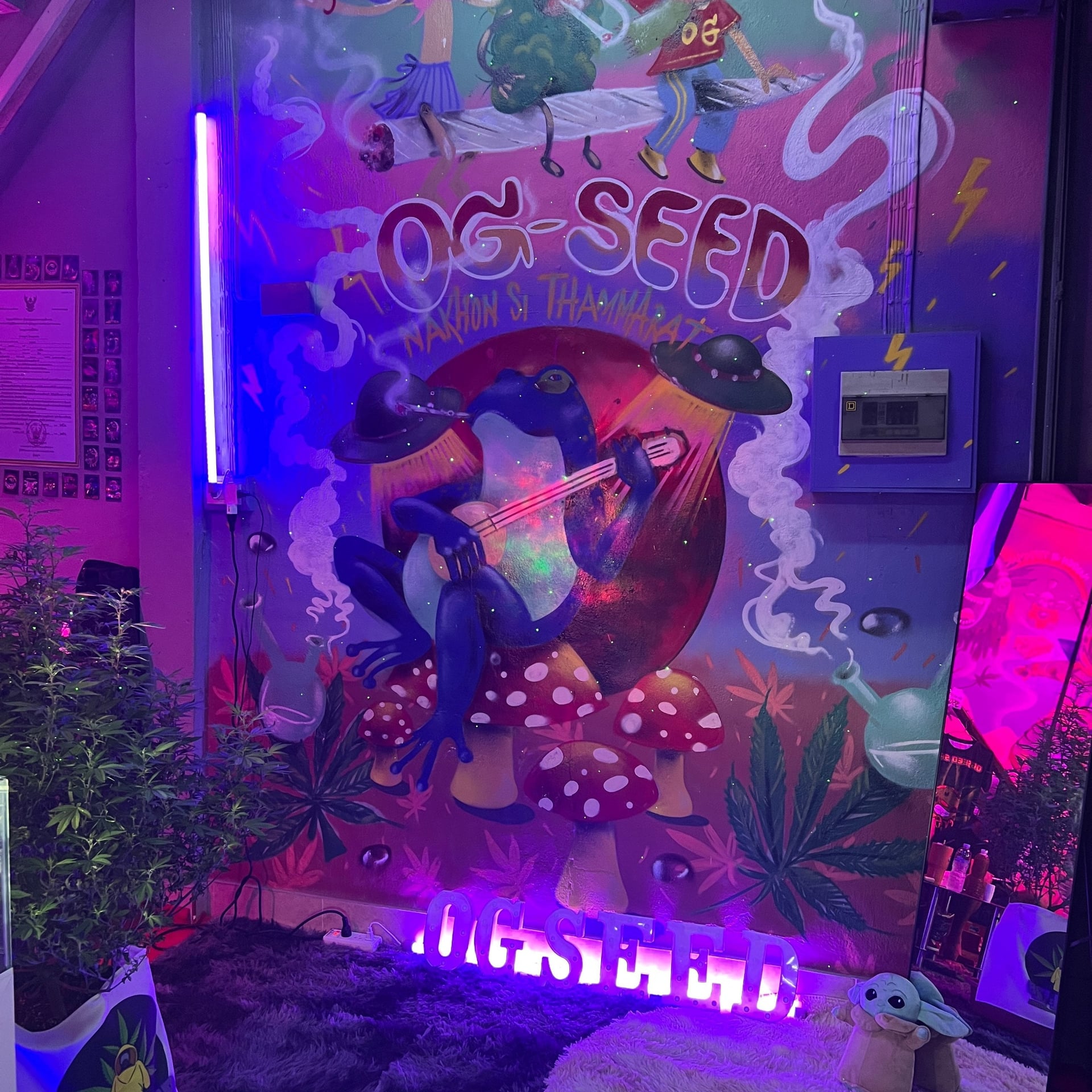 OG Seed