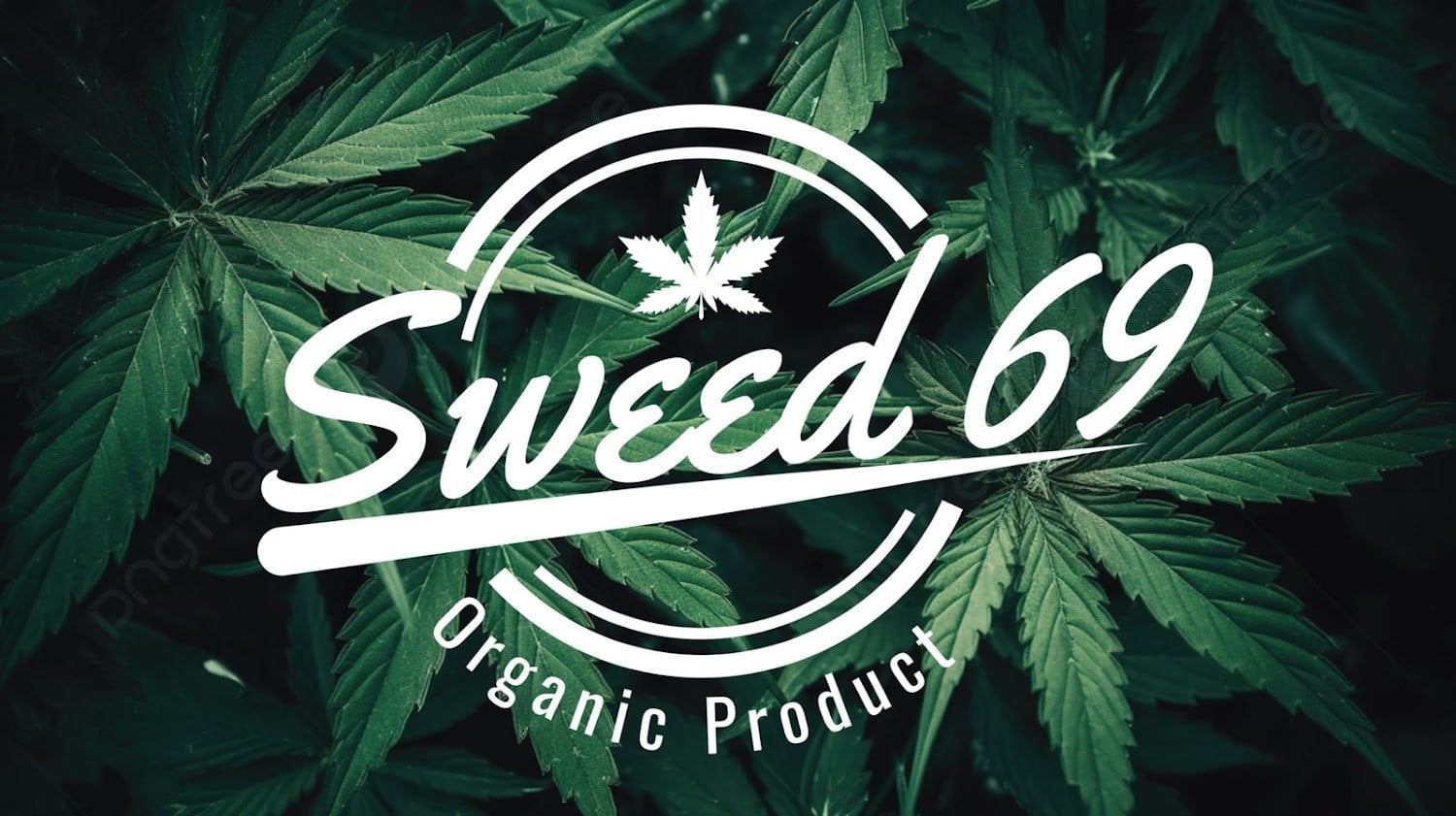 Sweed 69 Dispensary Pattaya