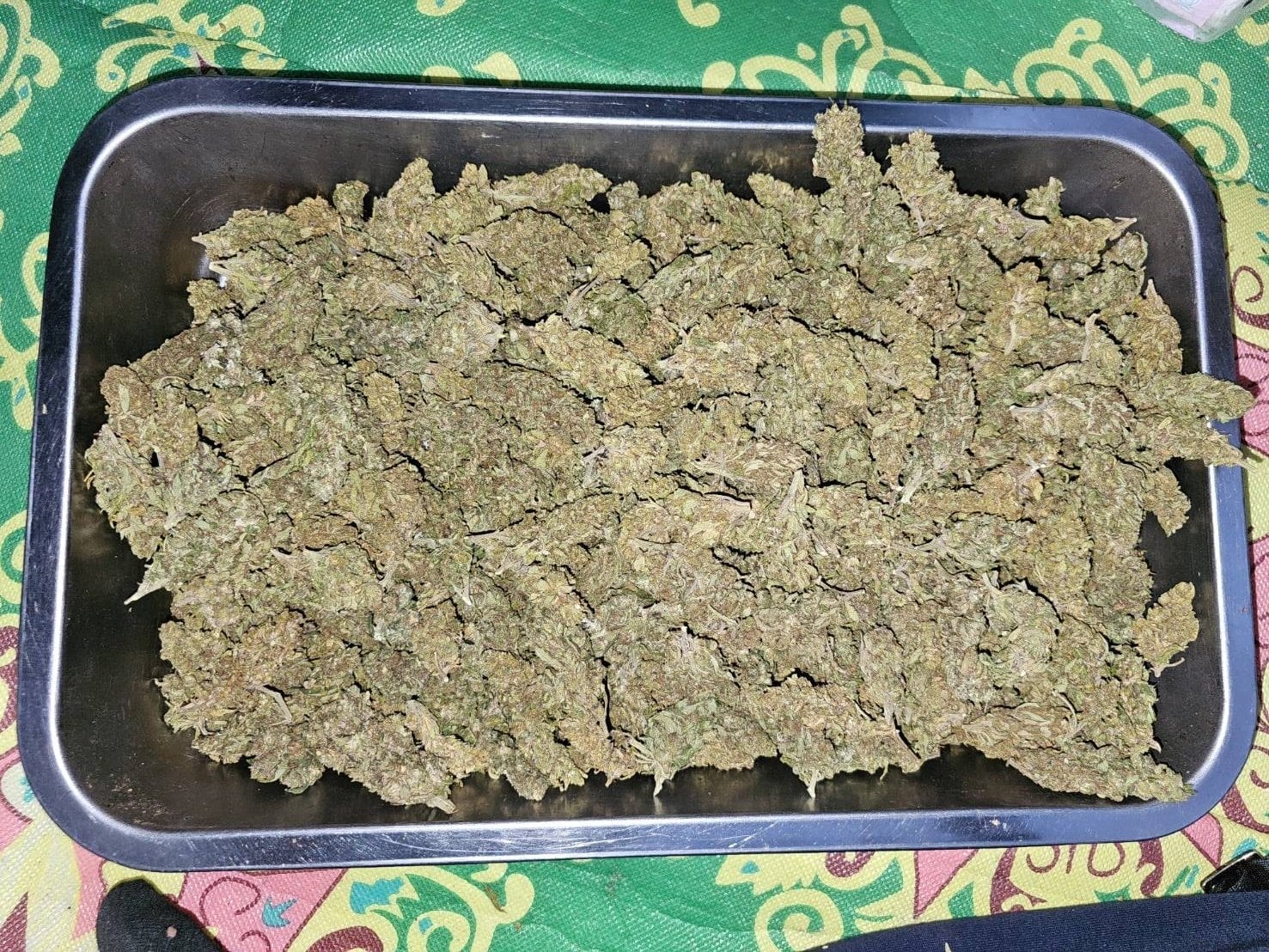 Mr.gun-cha Kaeng Krachan