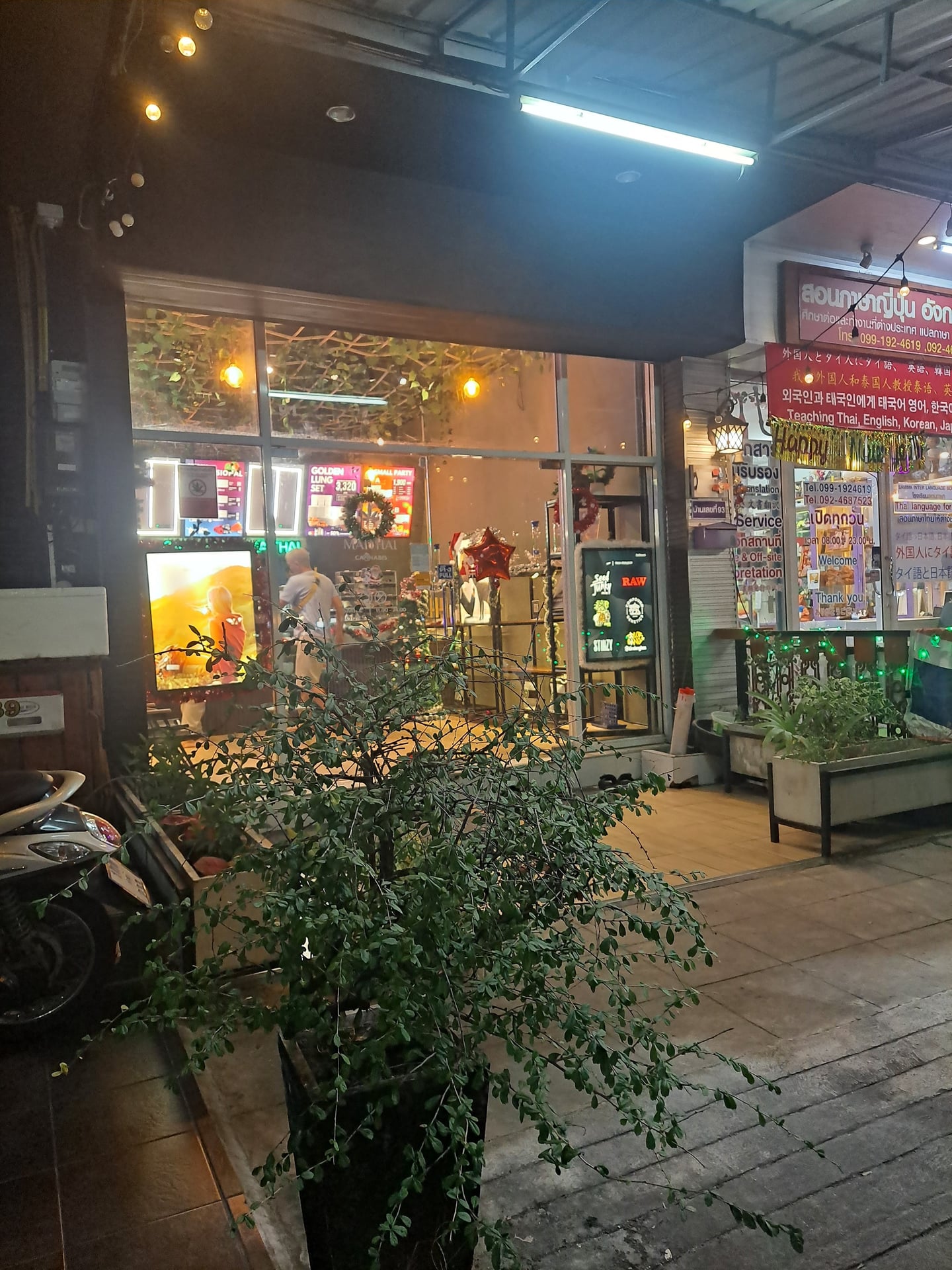 Cannabis By Maithai