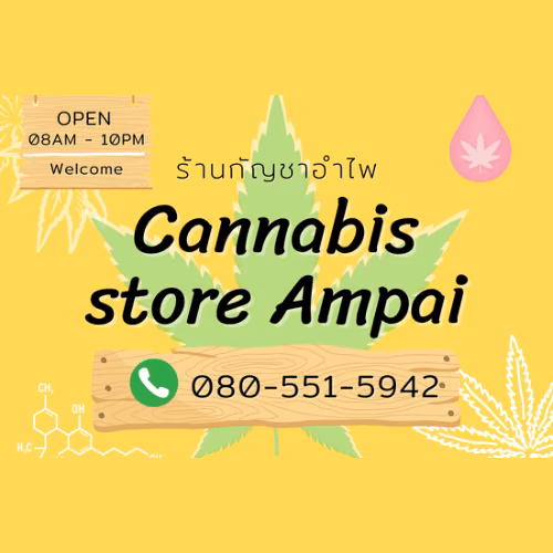 Cannabis Dispensary Cannabis Store Ampai in Prachuap Khiri Khan logo