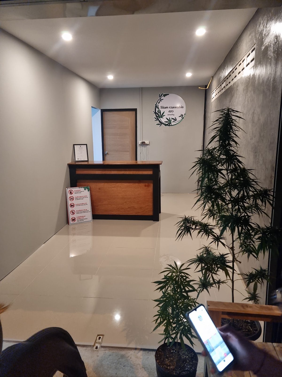 Siam Cannabis