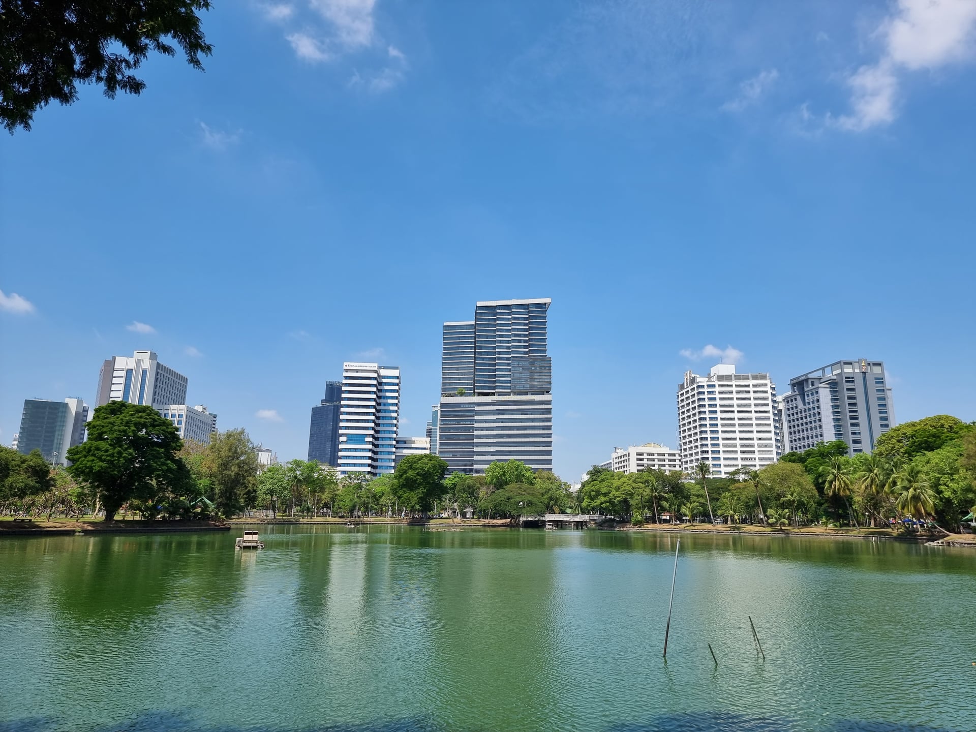 The Apothecary