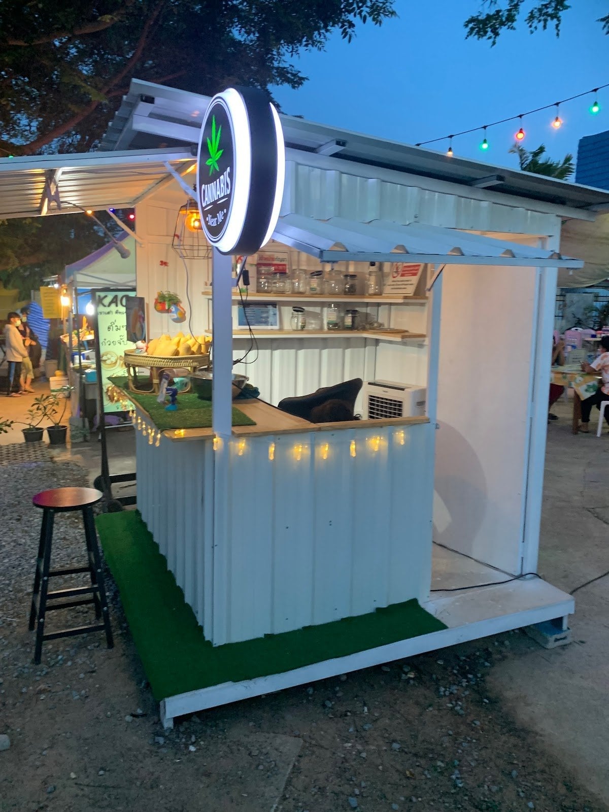Cannabis