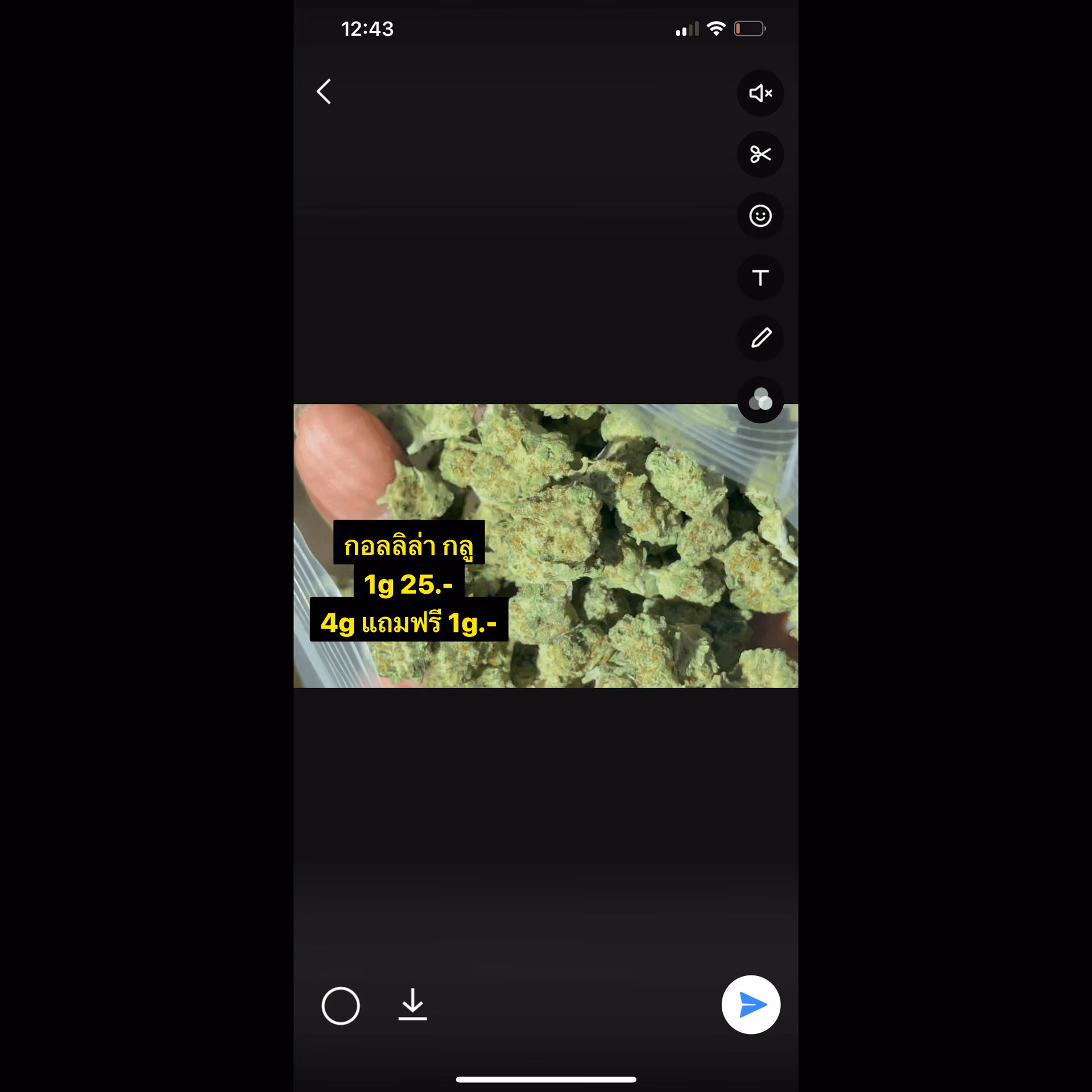Cannabis Dispensary Act Weed logo