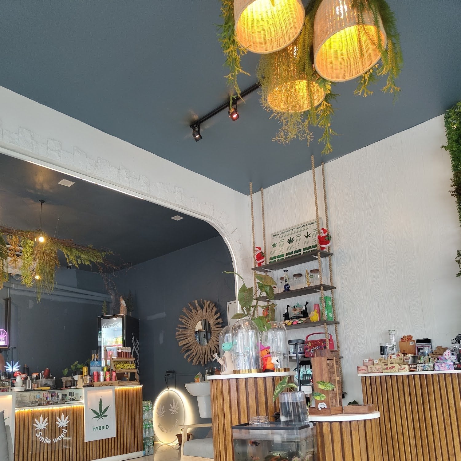 Smile Weed Kamala Phuket