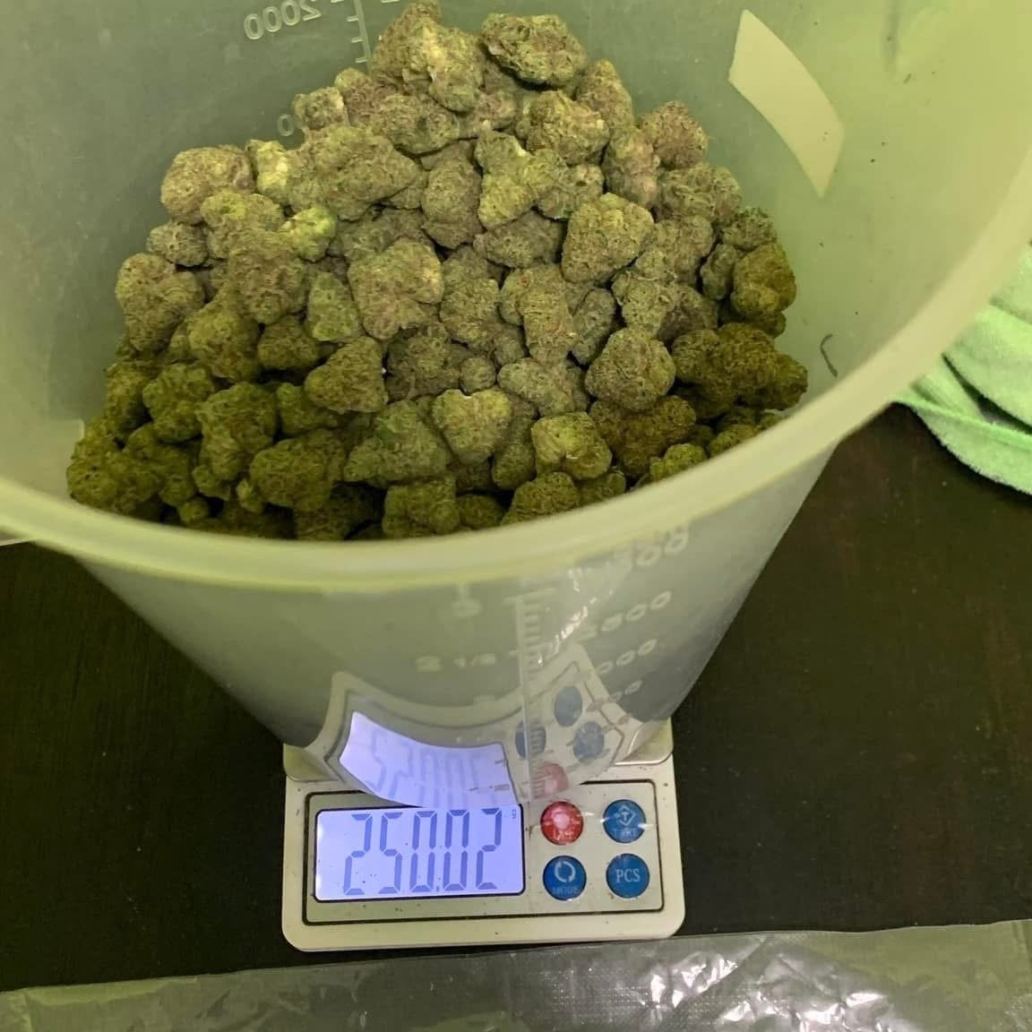 Sleepweed Cannabis Cafe'