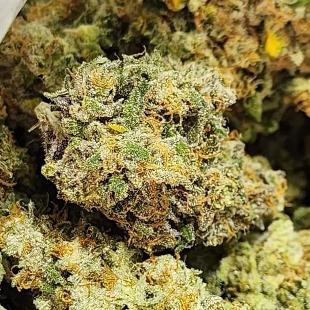 Lady Cannabis