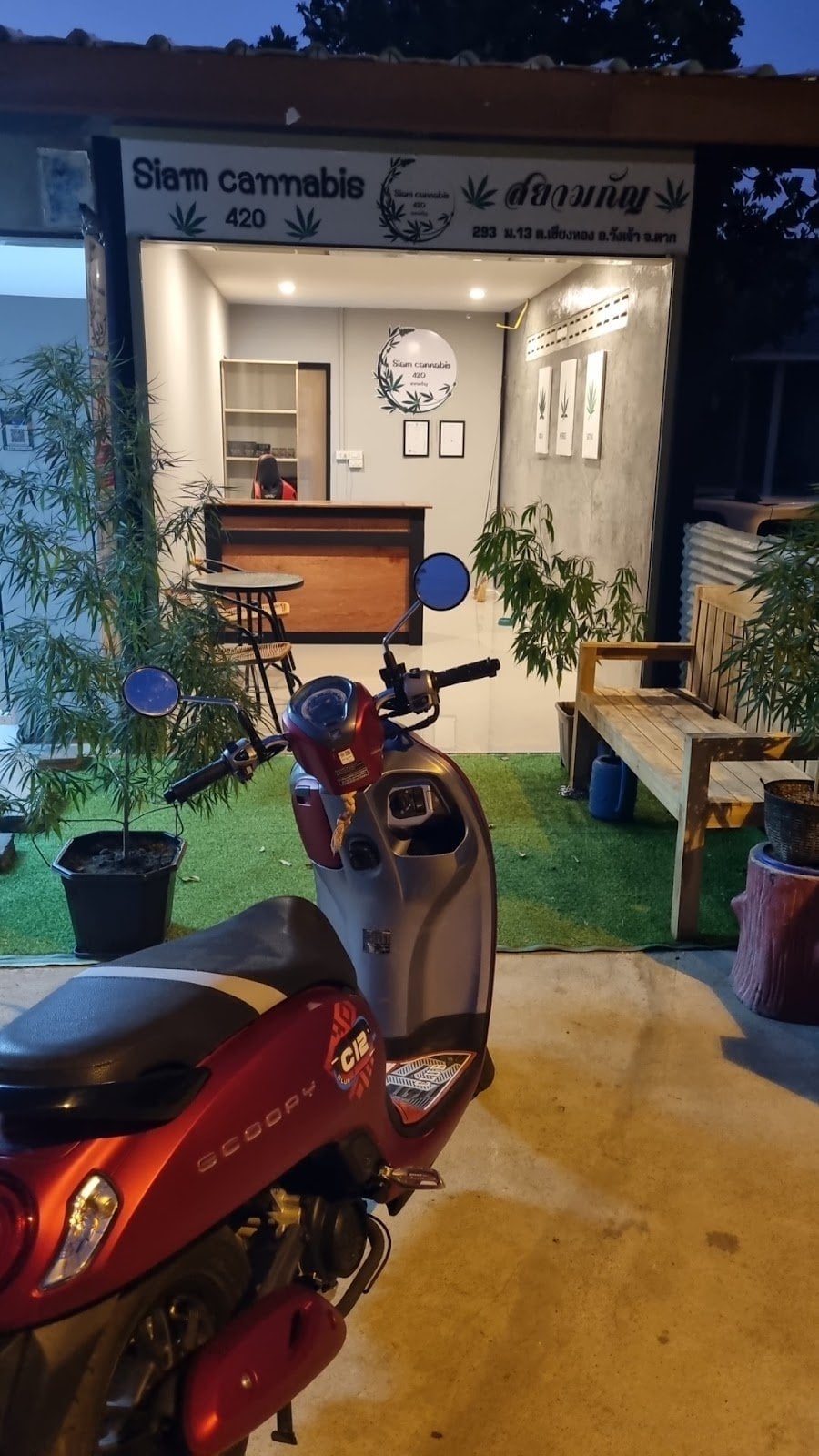 Siam Cannabis