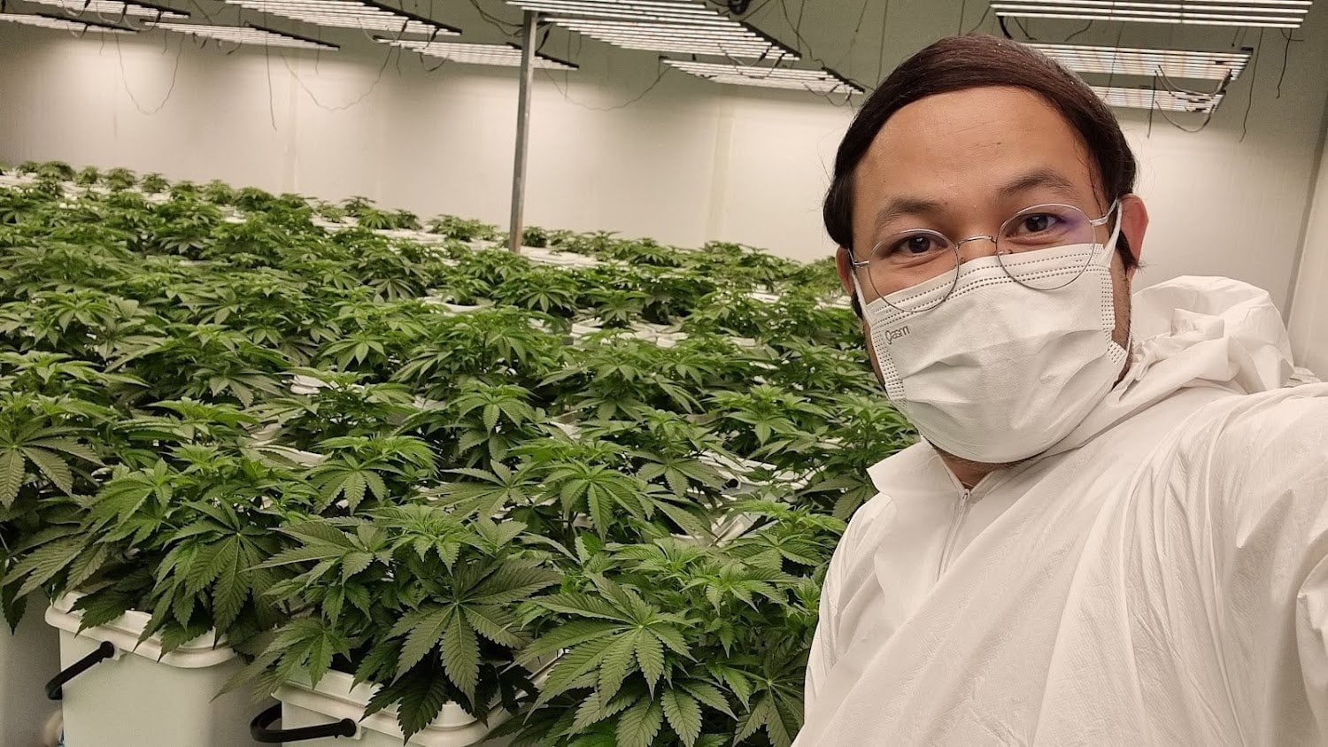 Kannabiz Tech