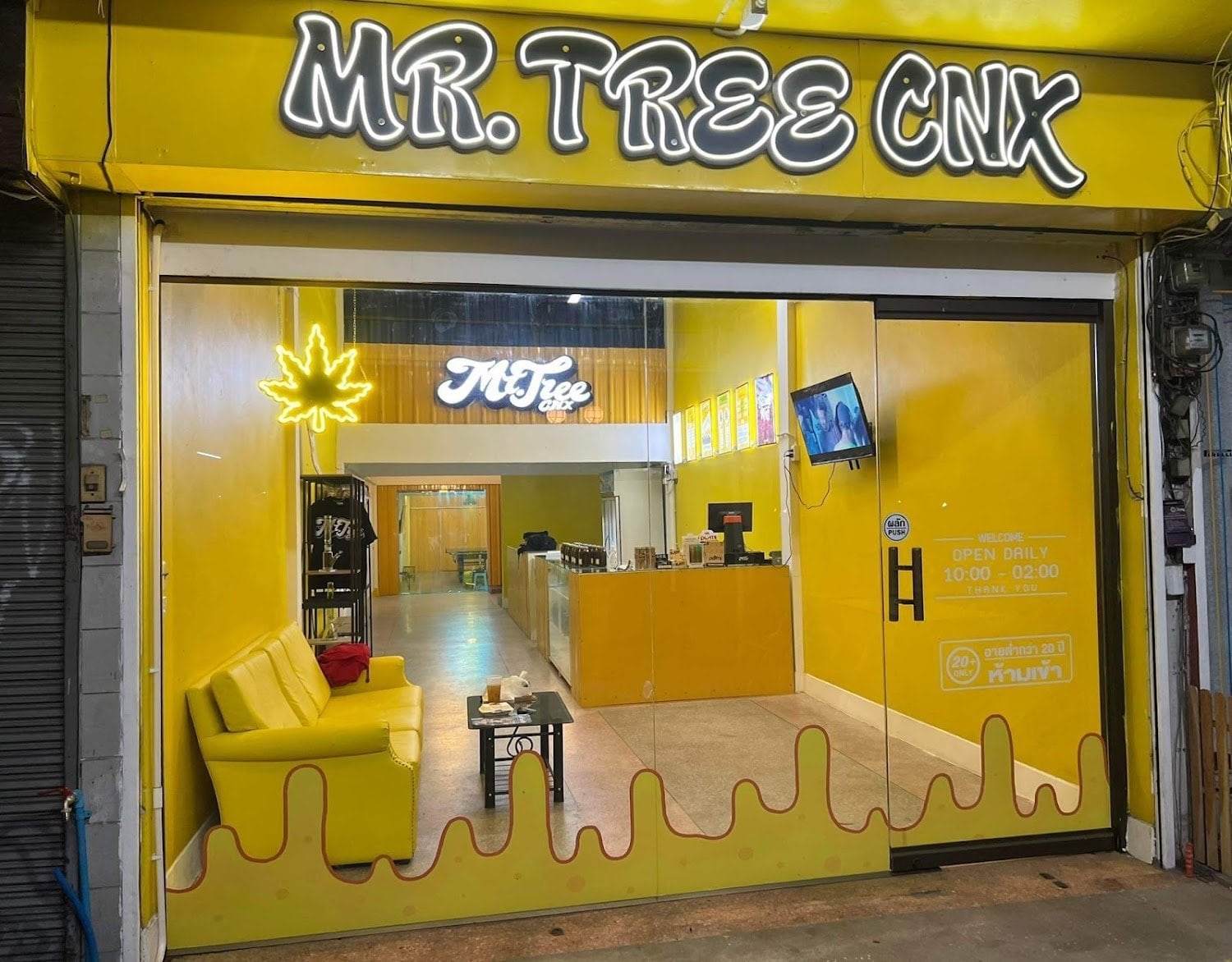 Mr.Tree CNX - Cannabis Social Club Chiang Mai