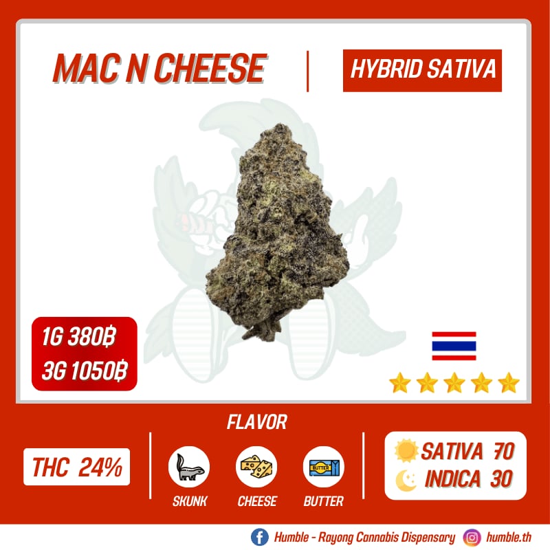 Humble - Rayong Cannabis