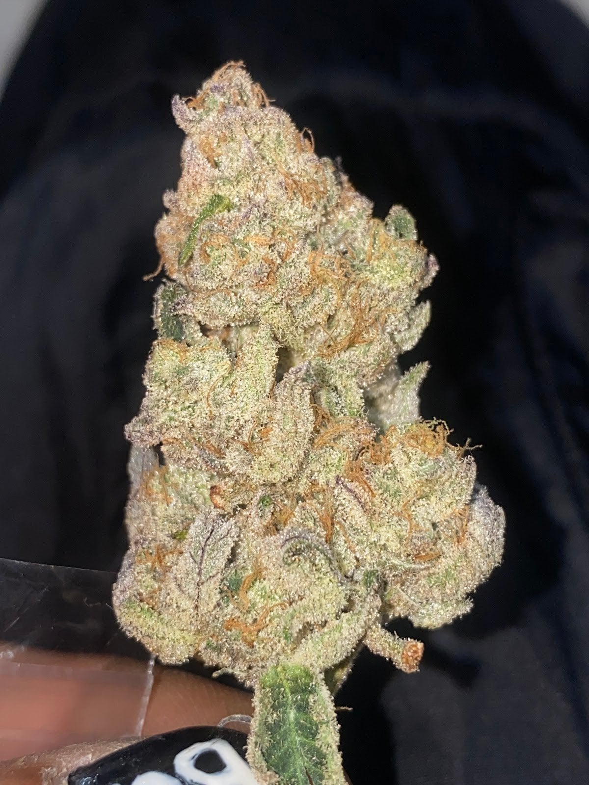 Og.xxrkaeni Kh