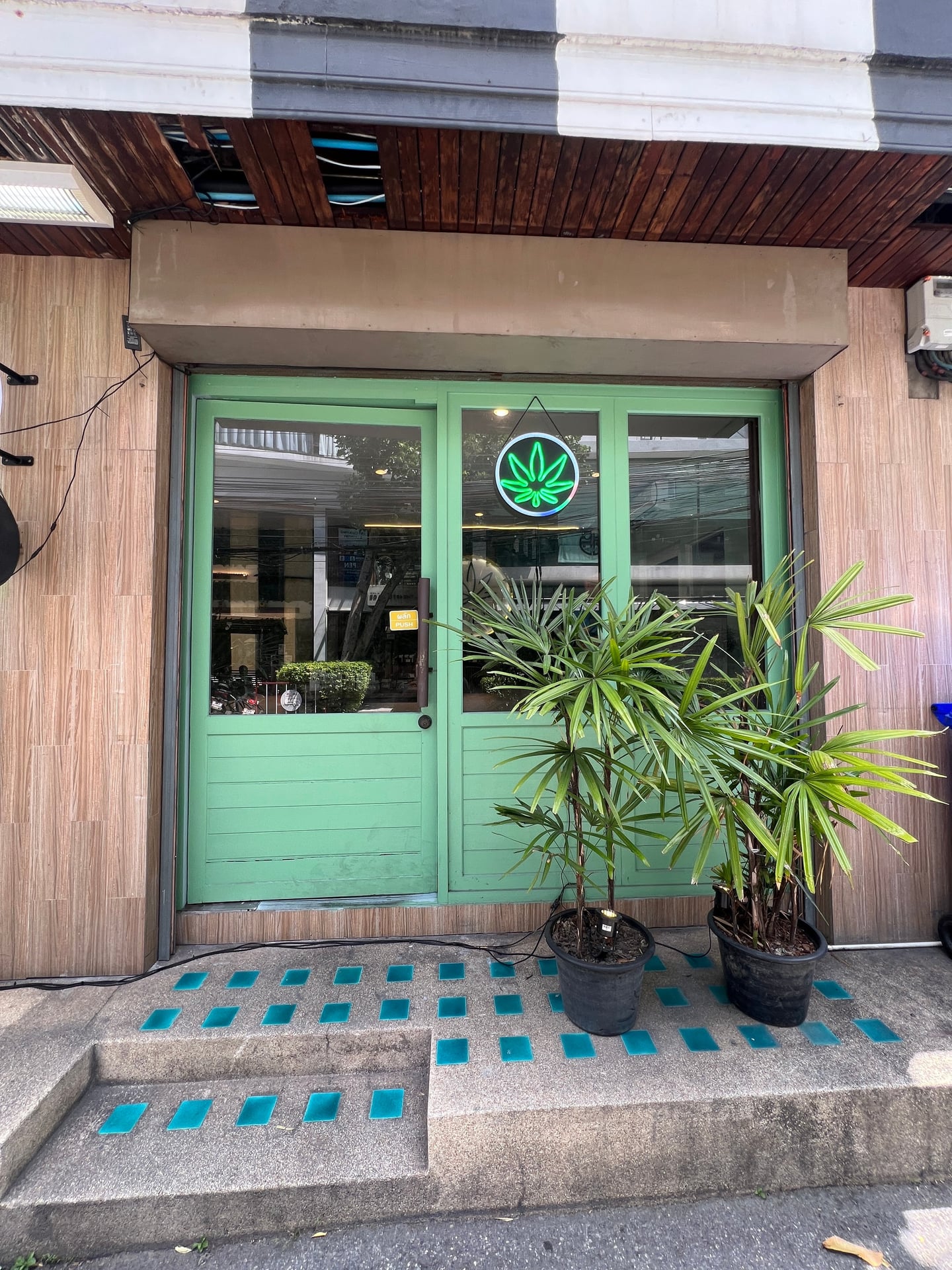 WholeWeed House